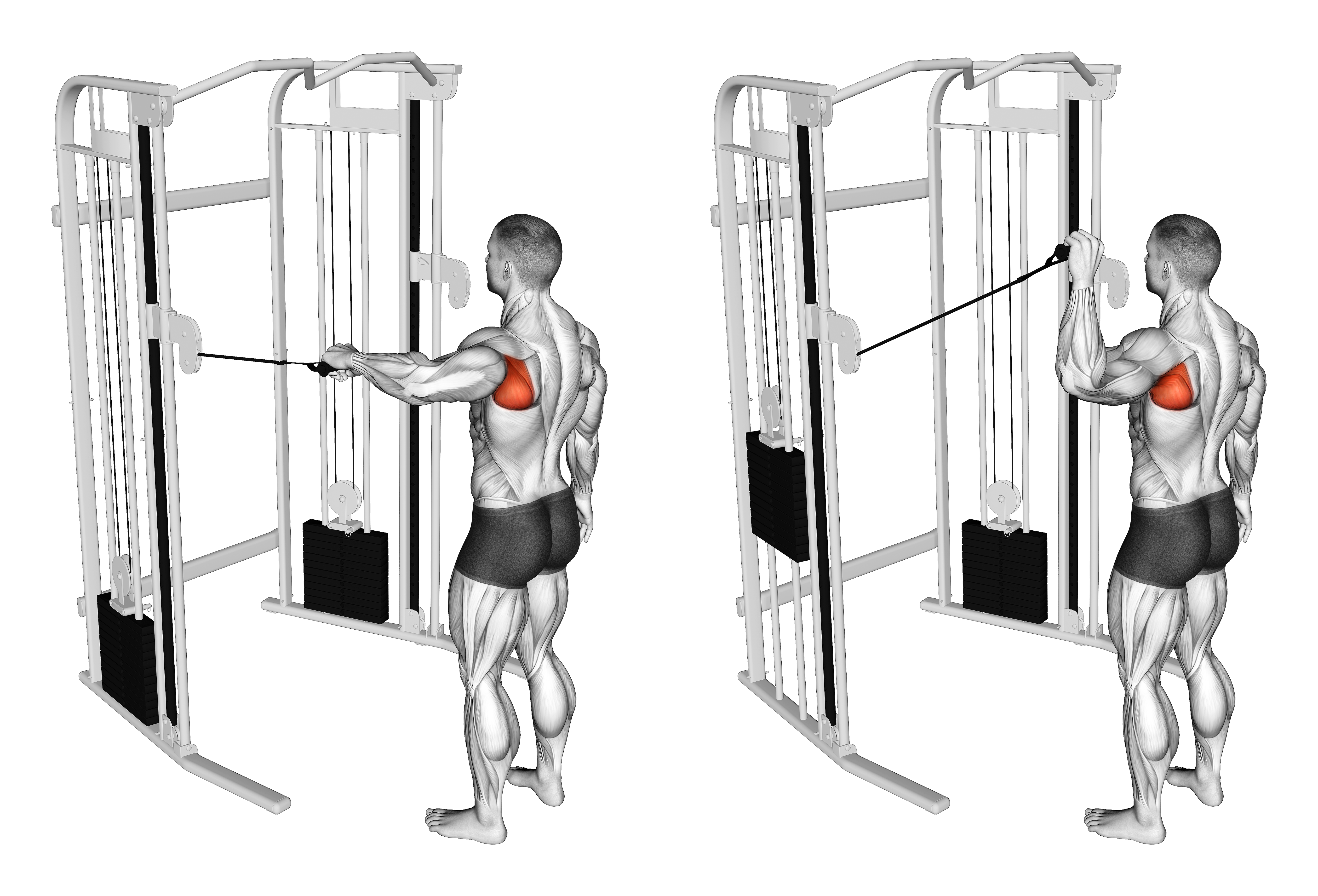 Cable Shoulder 90 Degrees External Rotation
