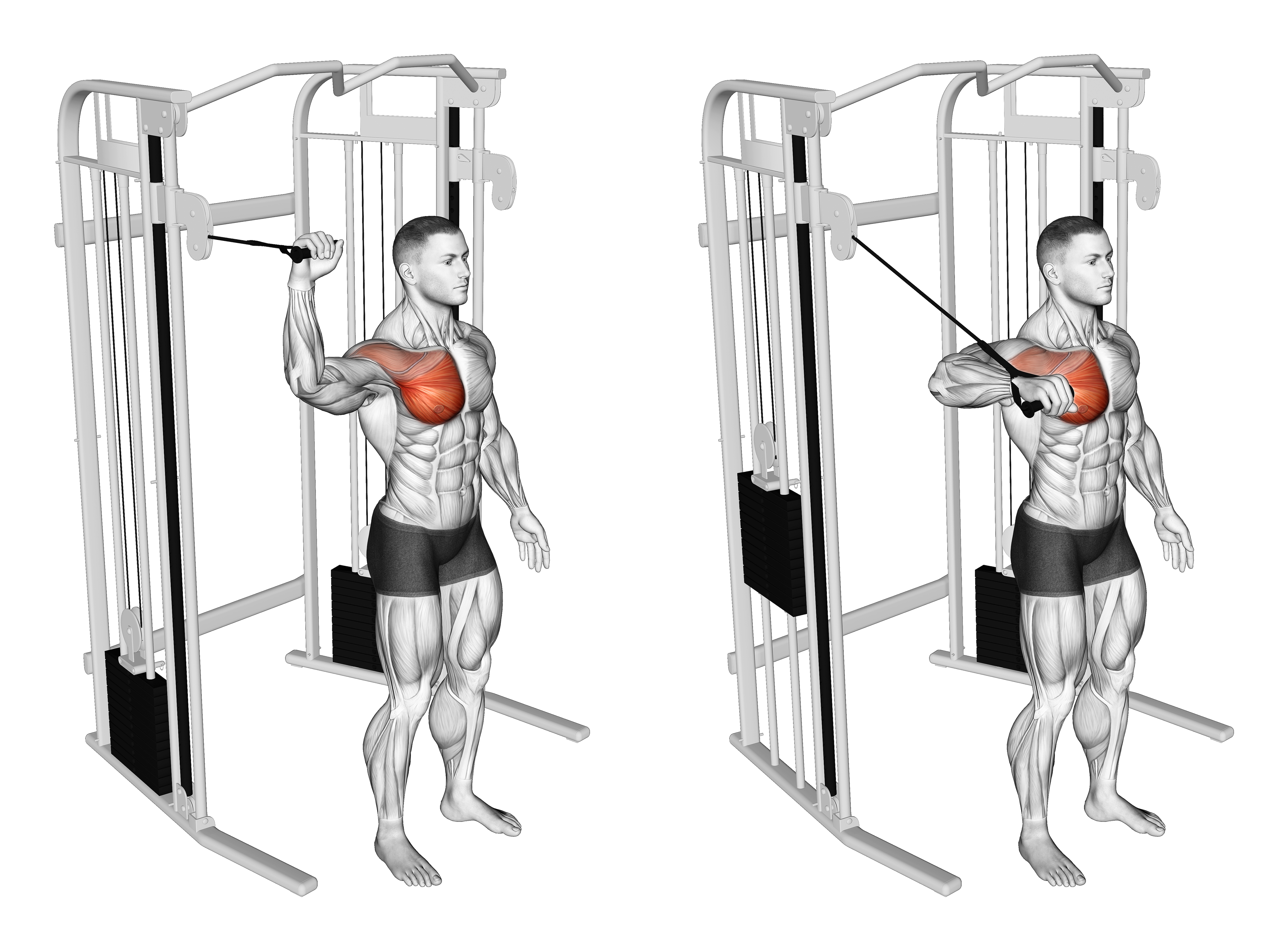 Cable Shoulder 90 Degrees Internal Rotation