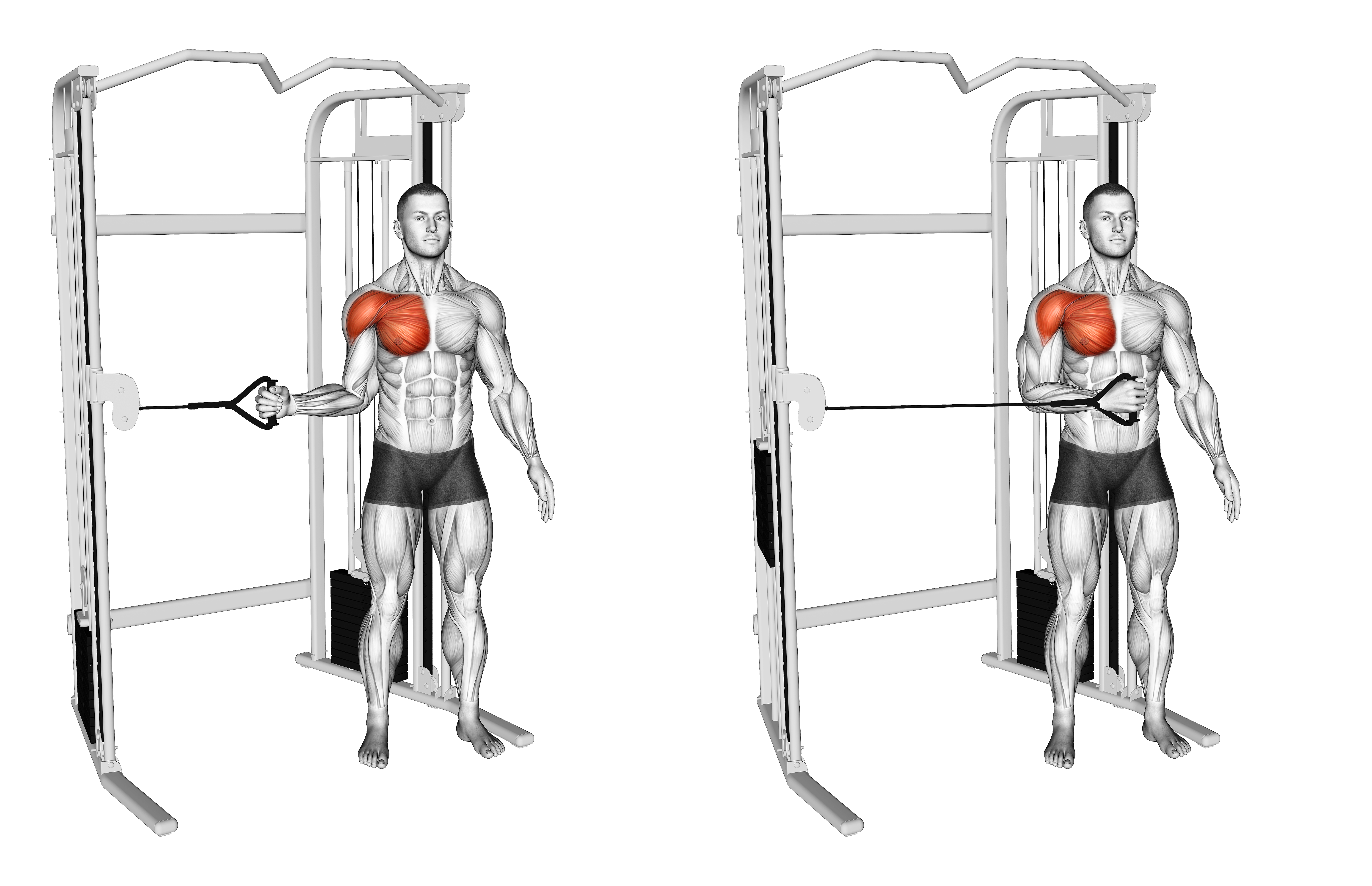 Cable Shoulder Internal Rotation