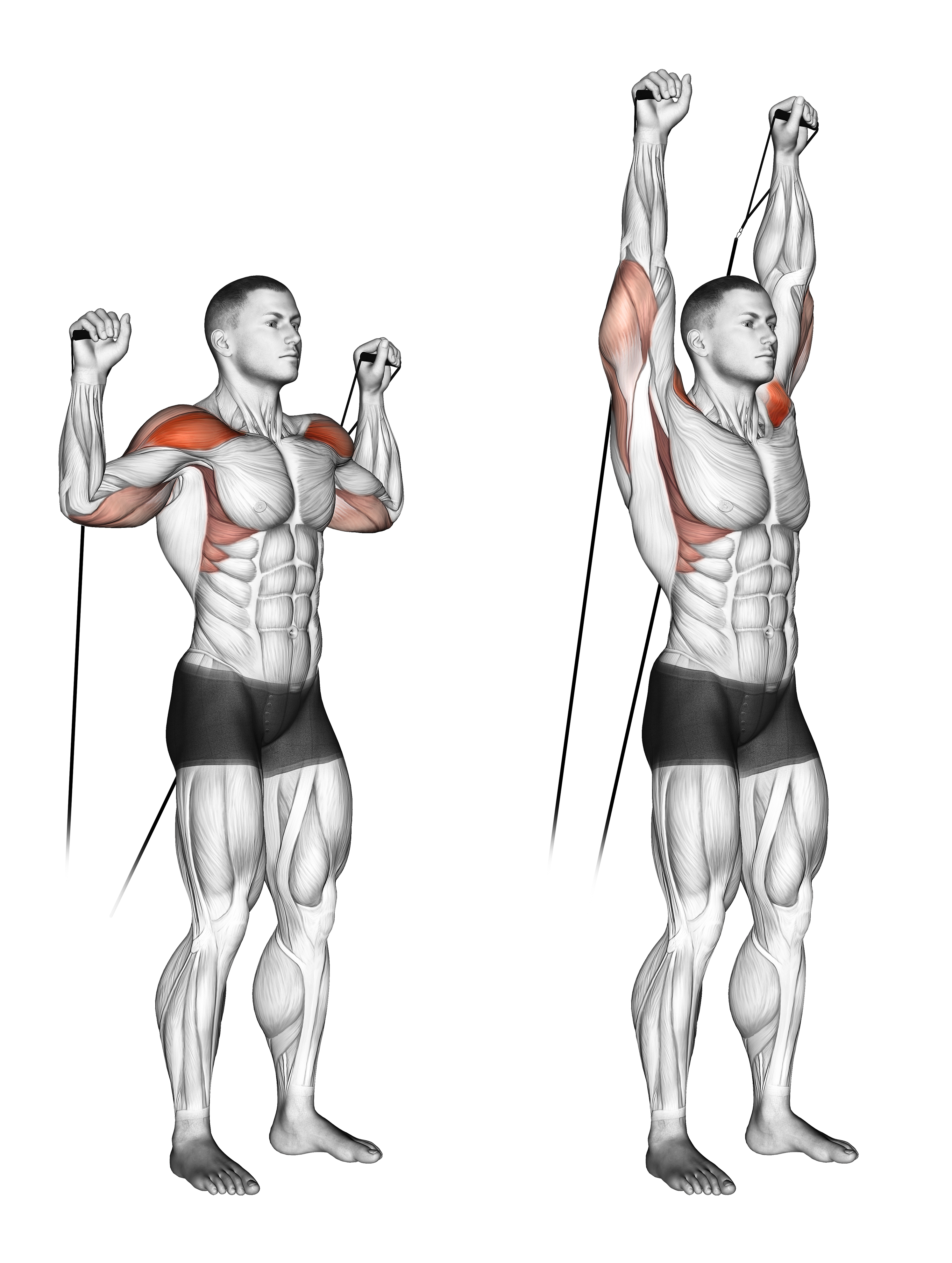 Cable Shoulder Press