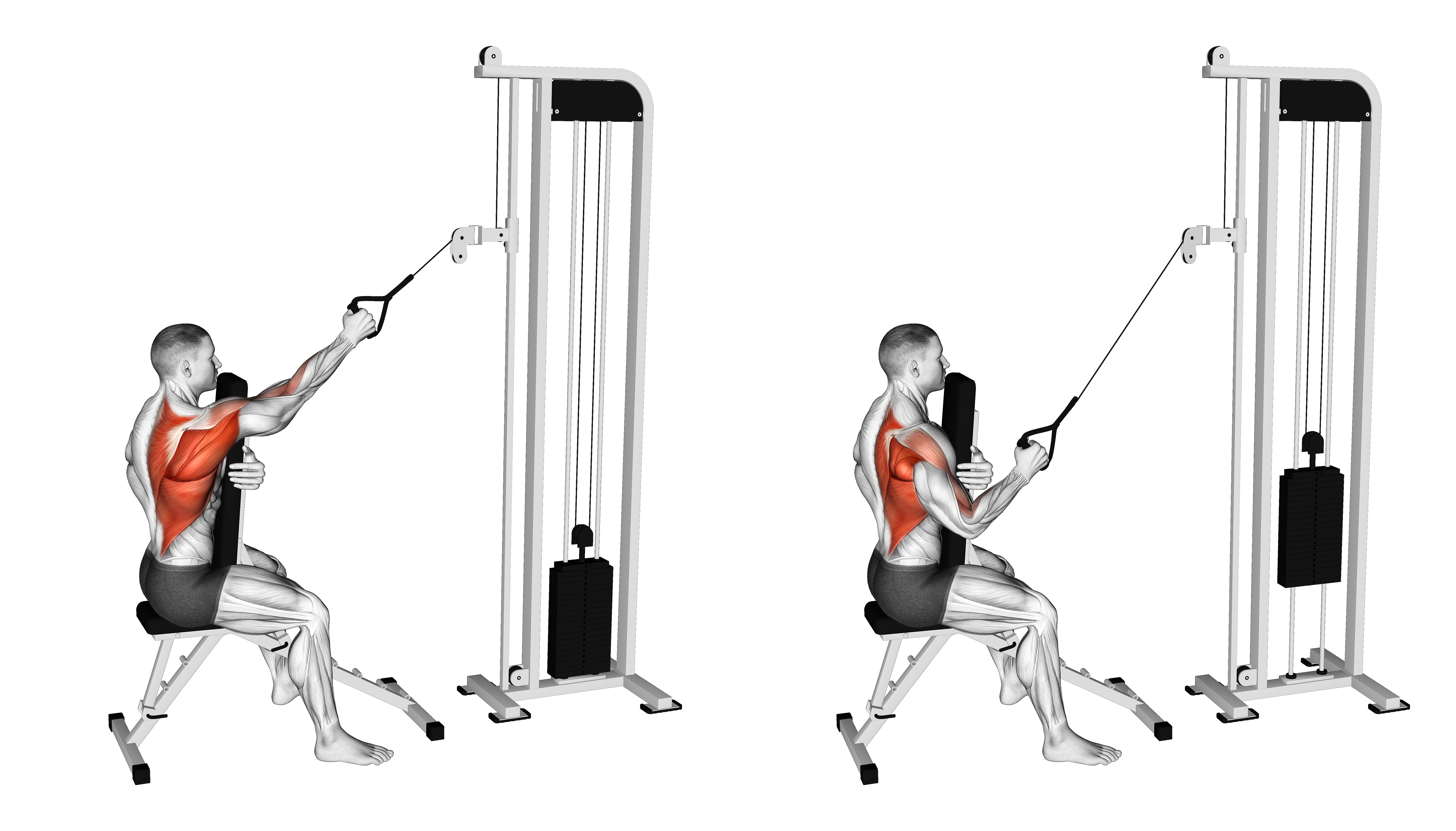Cable Single Arm High Row With Chest Support