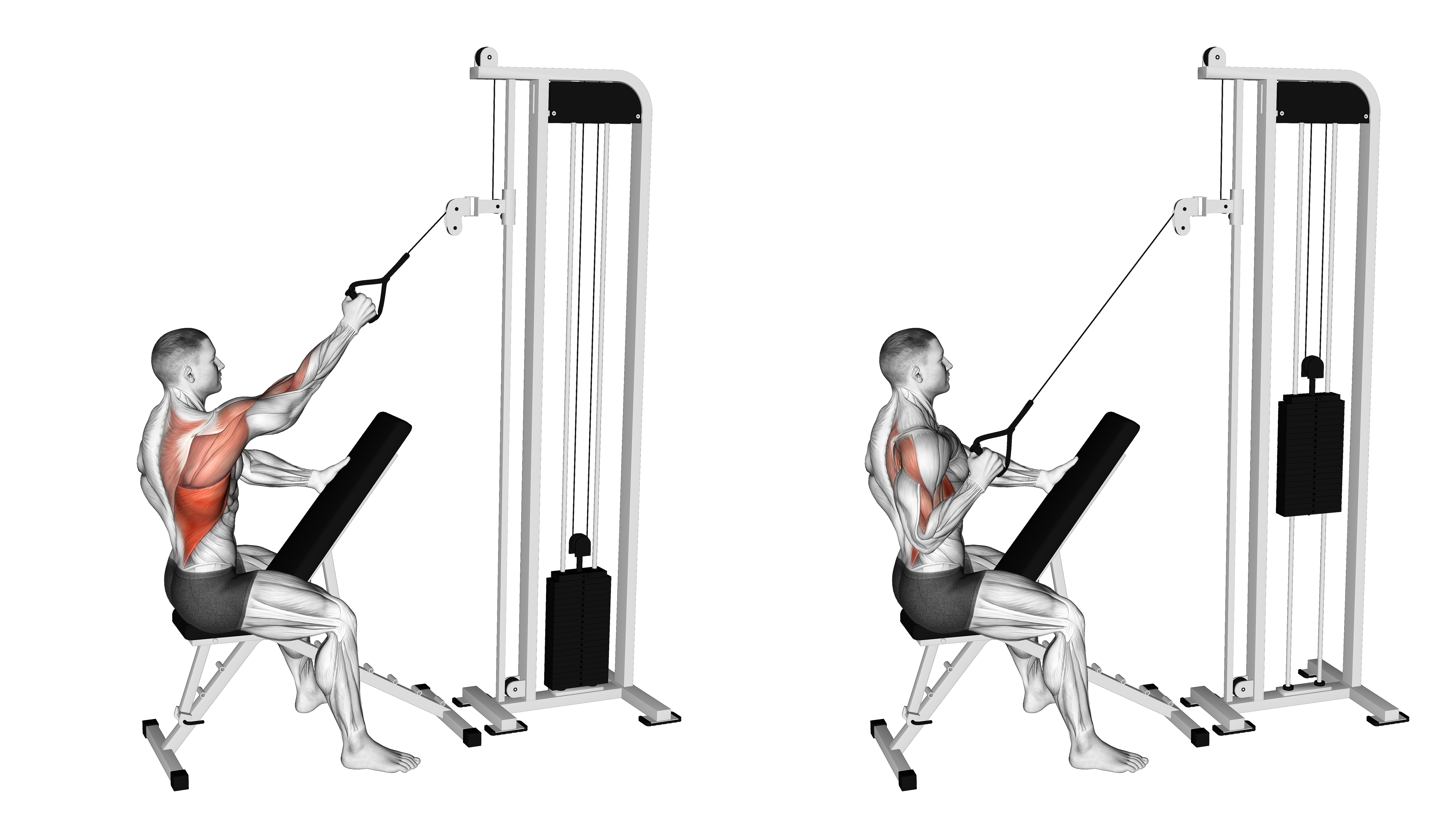 Cable Single Arm High Row
