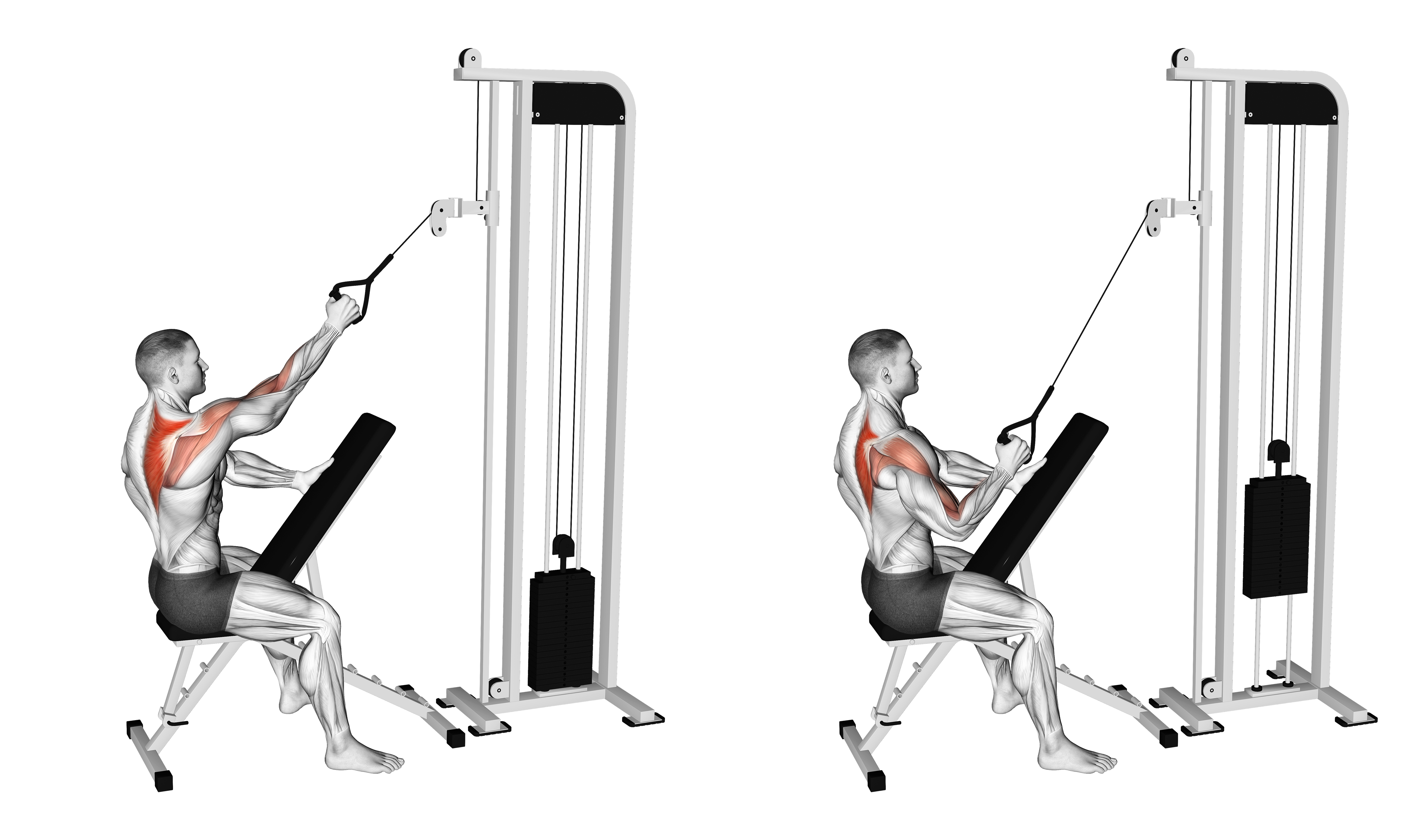 Cable Single Arm High Scapular Row