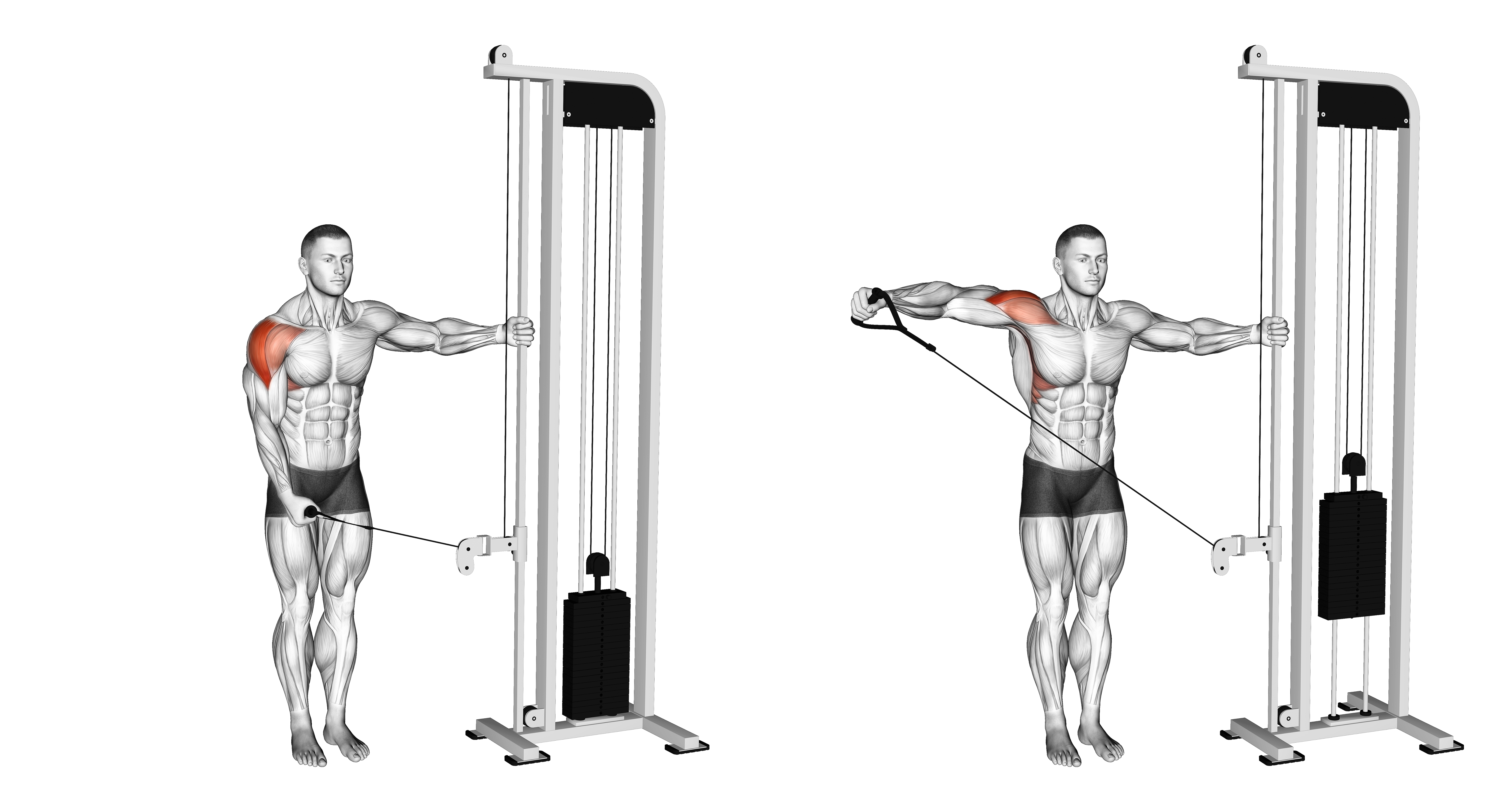 Cable Single Arm Lateral Raise (version 2)