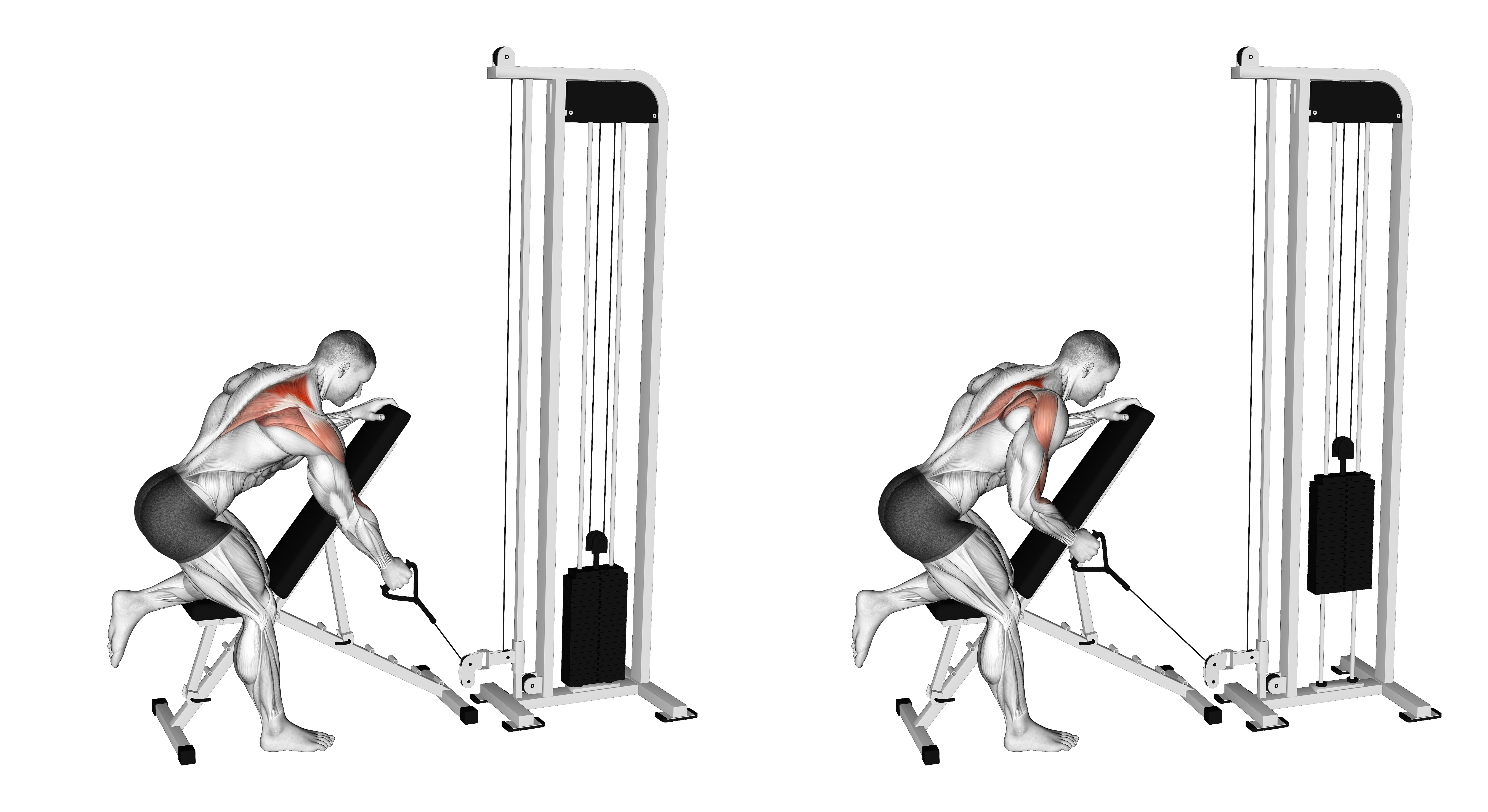 Cable Single Arm Low Scapular Row