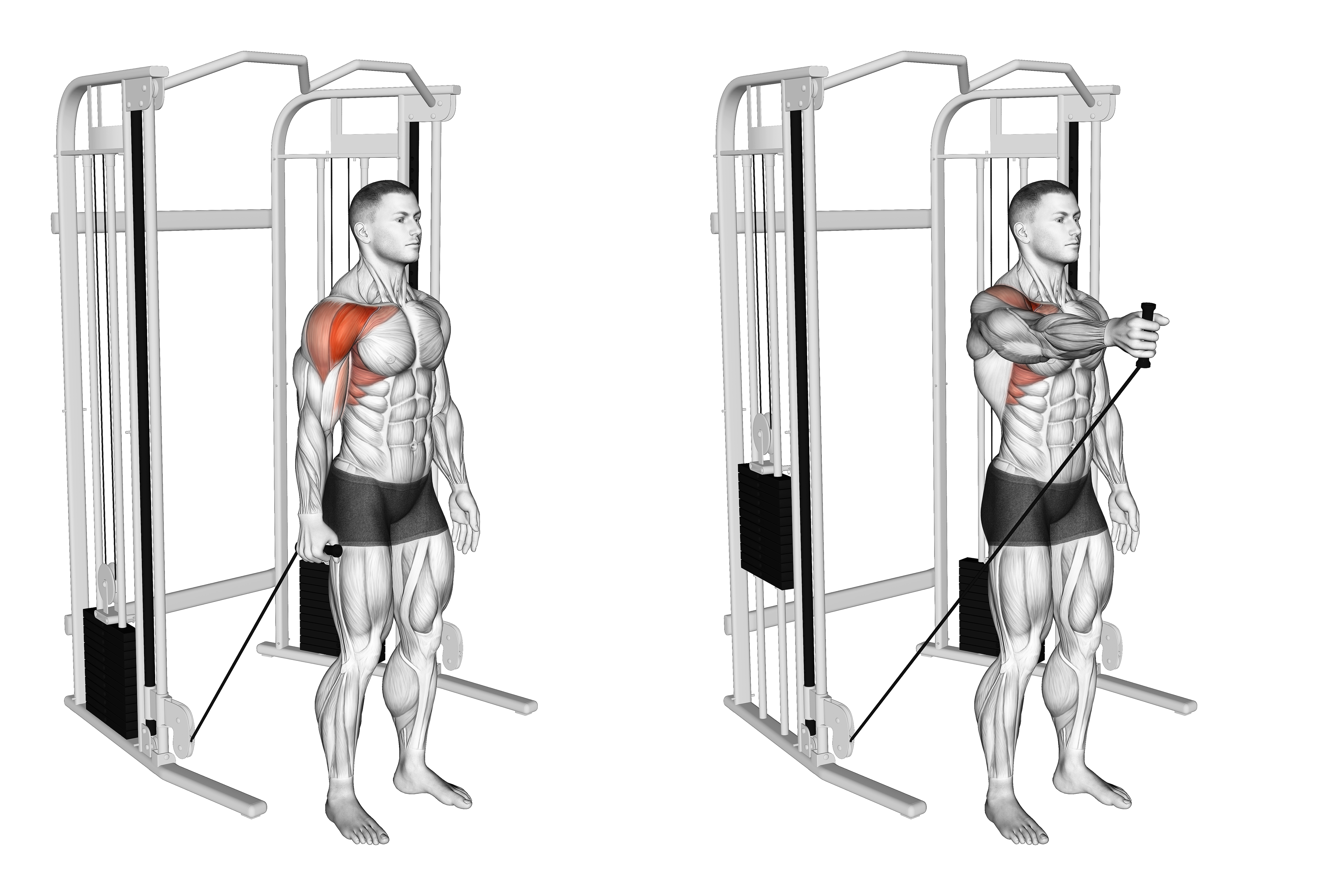 Cable Single Arm Neutral Grip Front Raise