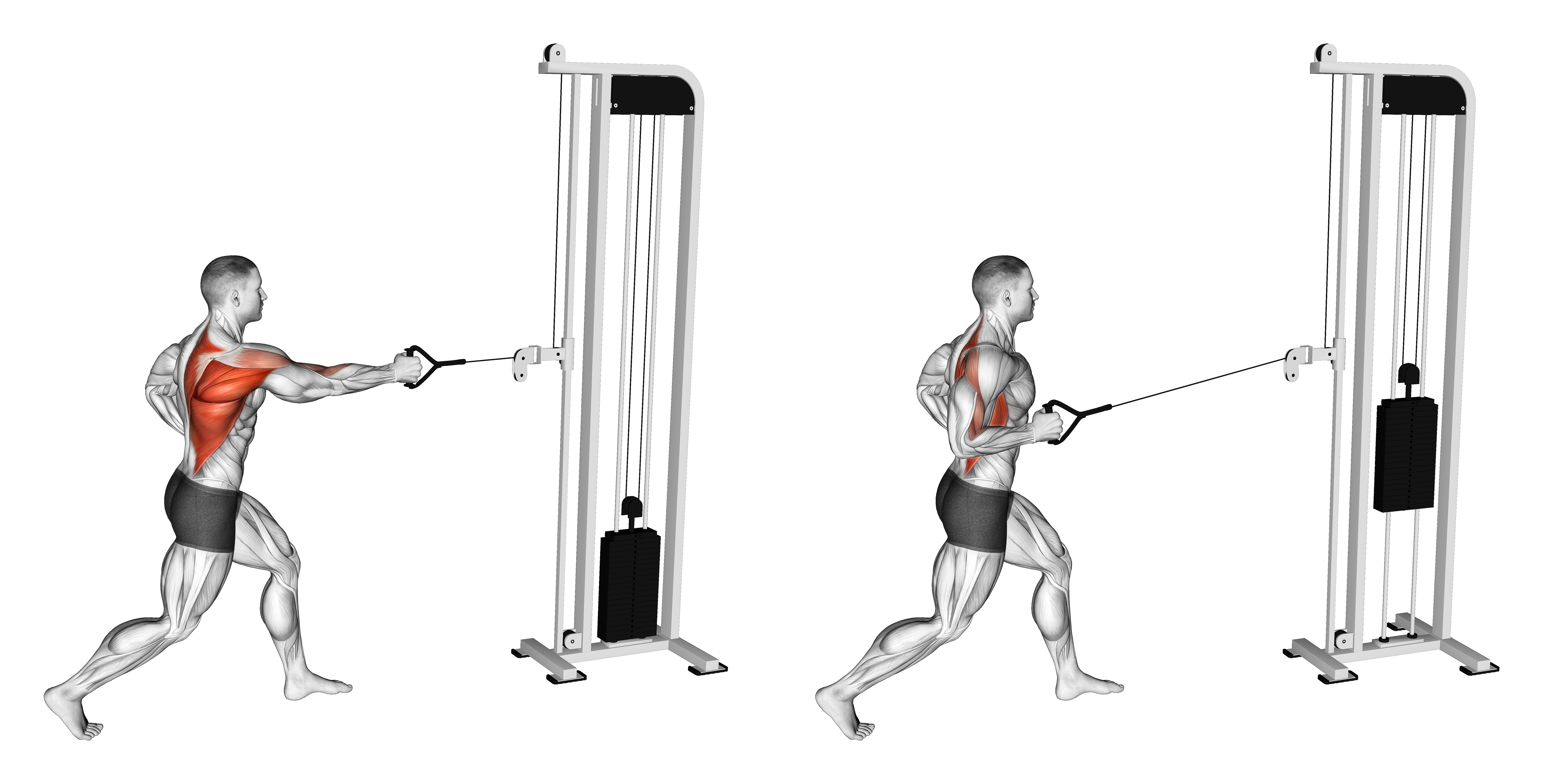 Cable Split Stance Single Arm Row
