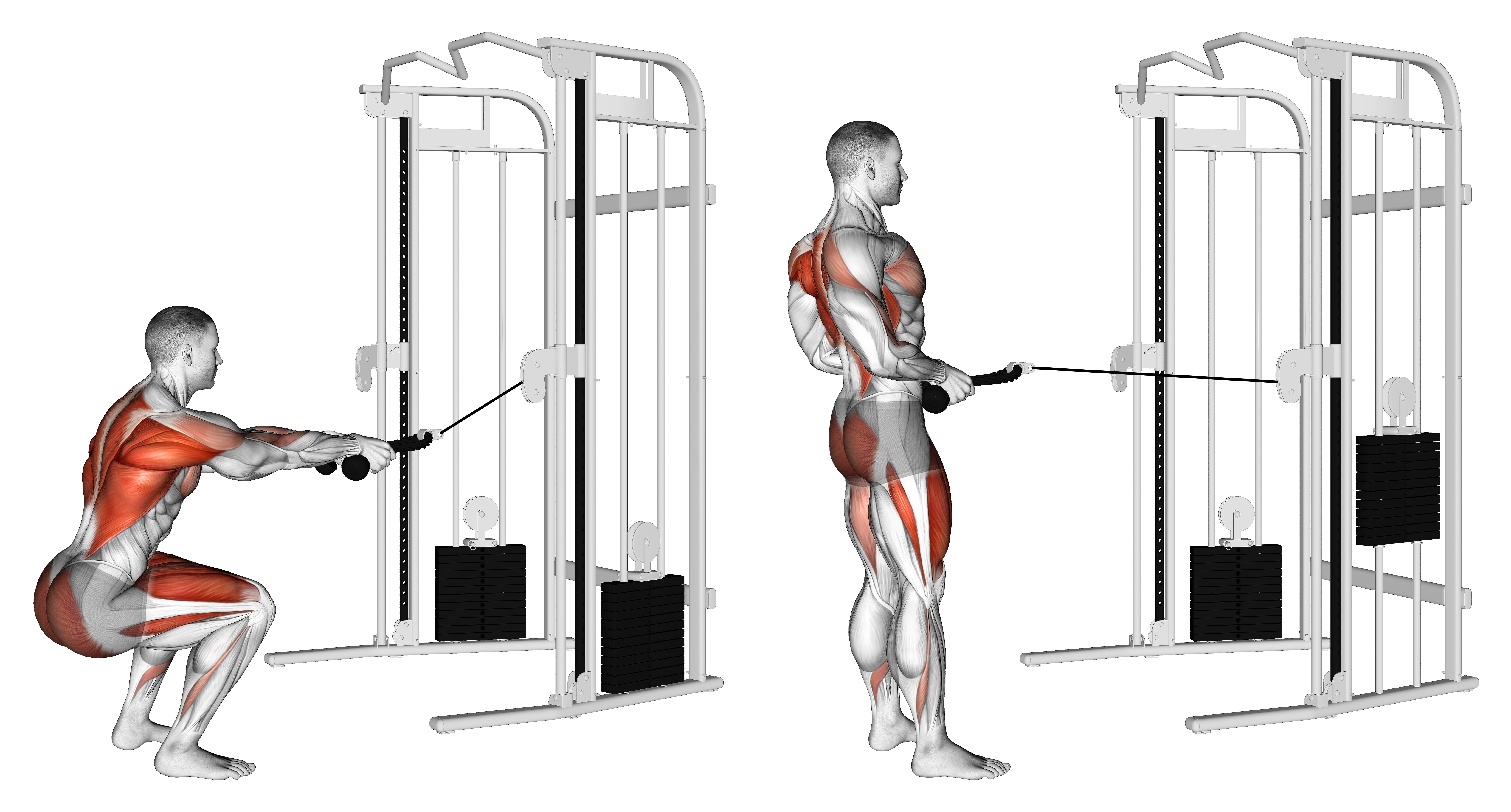 Cable Squat Row (with Rope Attachment)