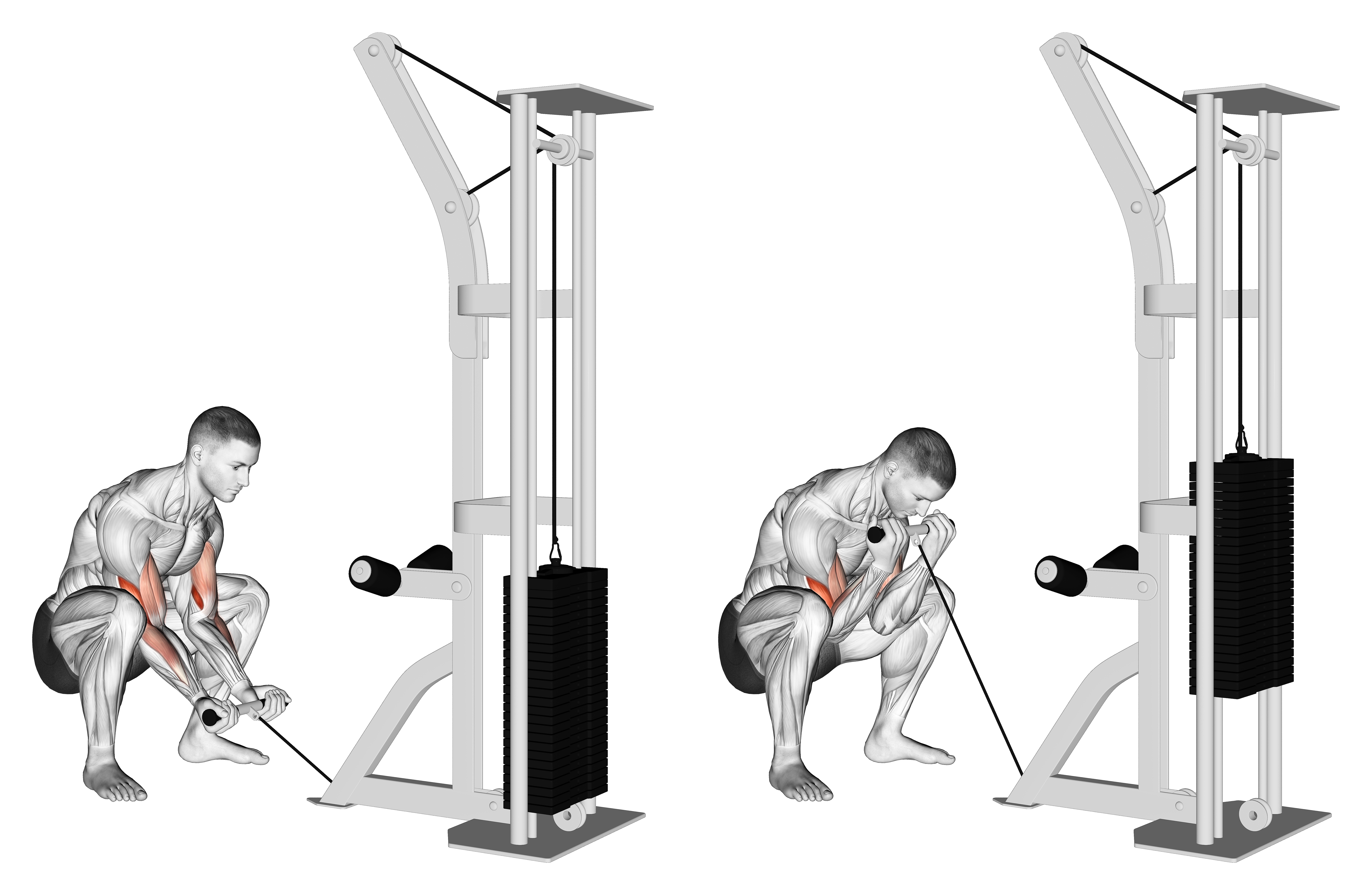 Cable Squatting Curl