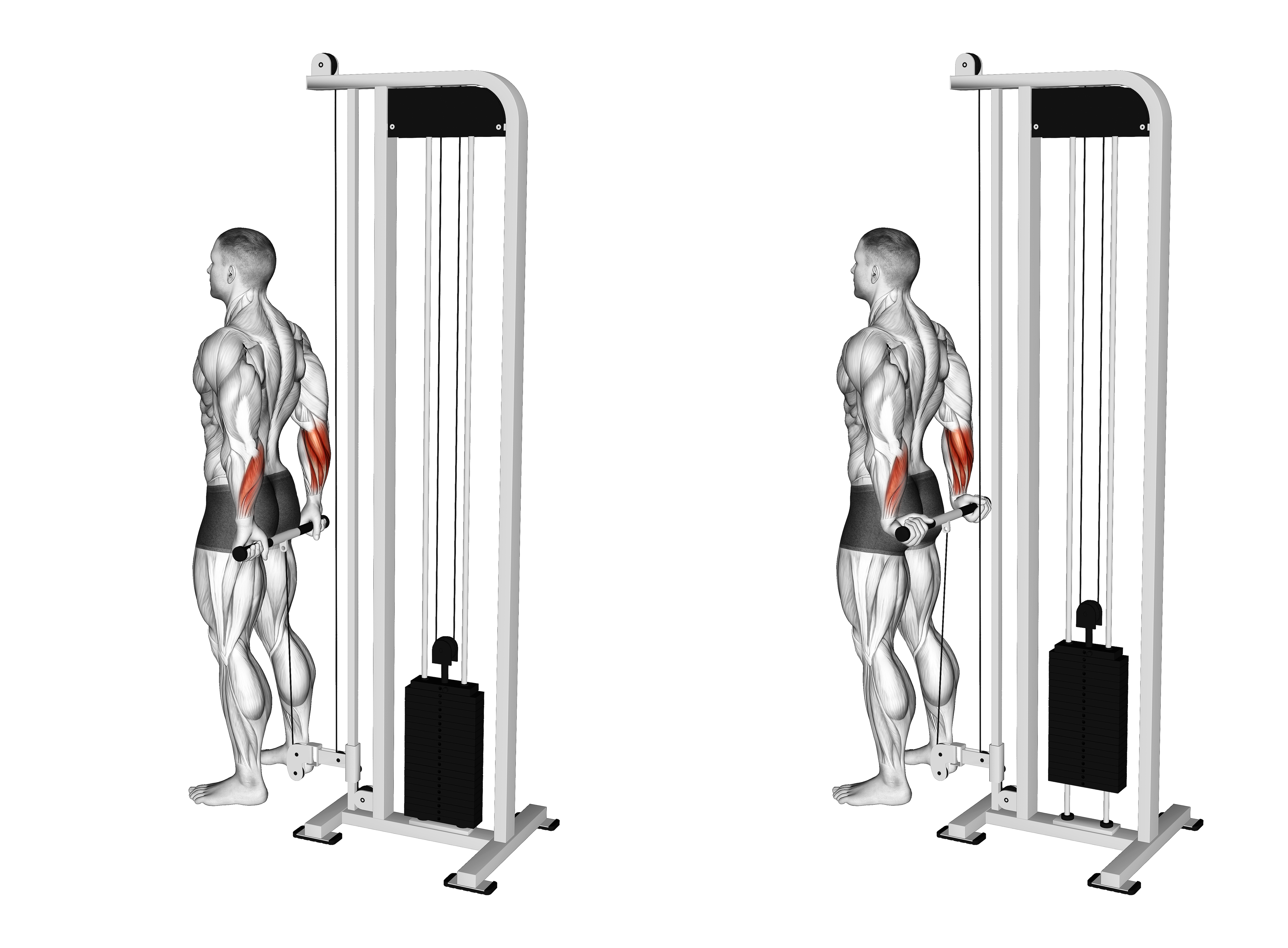 Cable Standing Back Wrist Curl