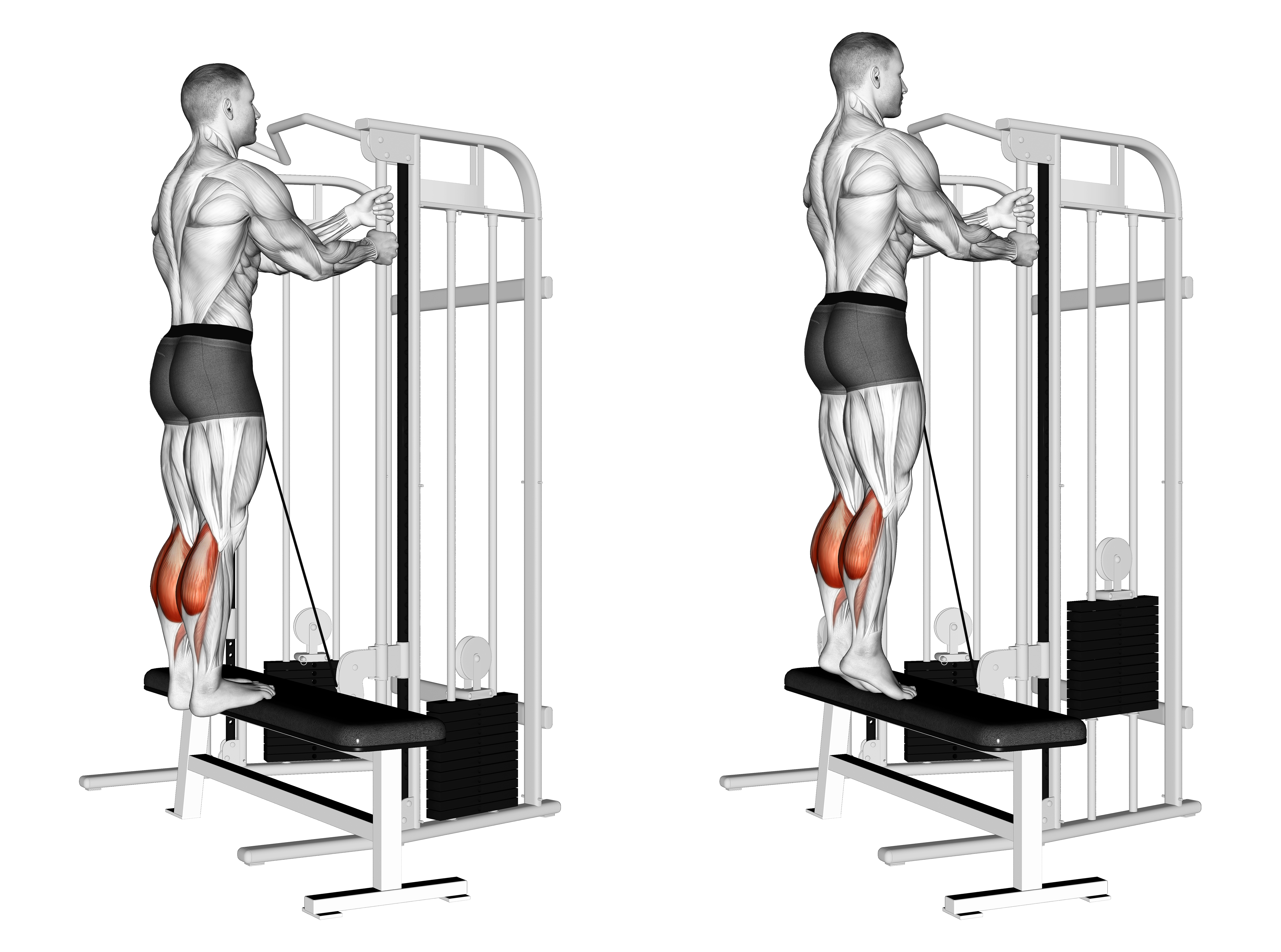 Cable Standing Calf Raise