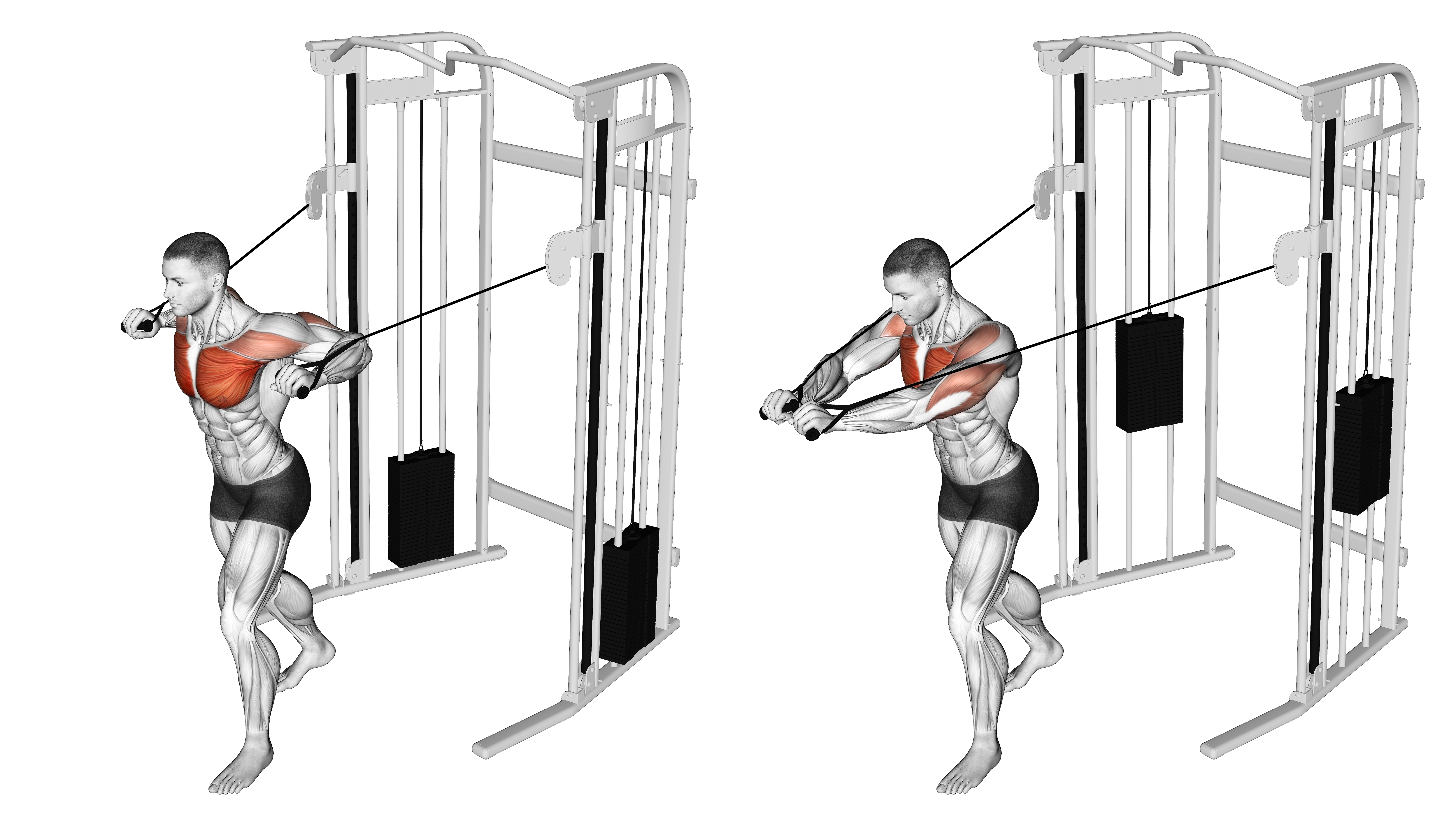 Cable Standing Chest Press