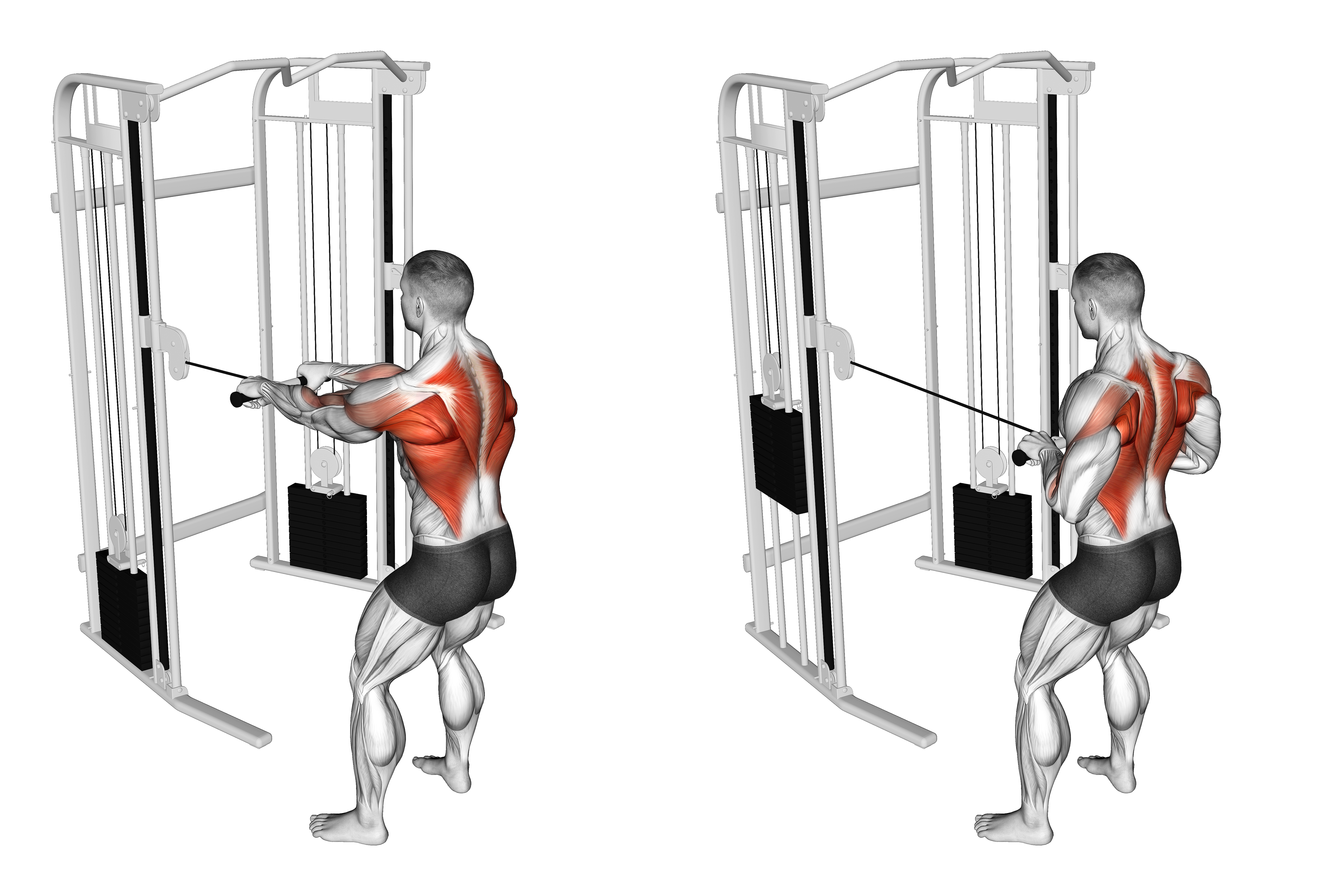 Cable Standing Close Grip Row