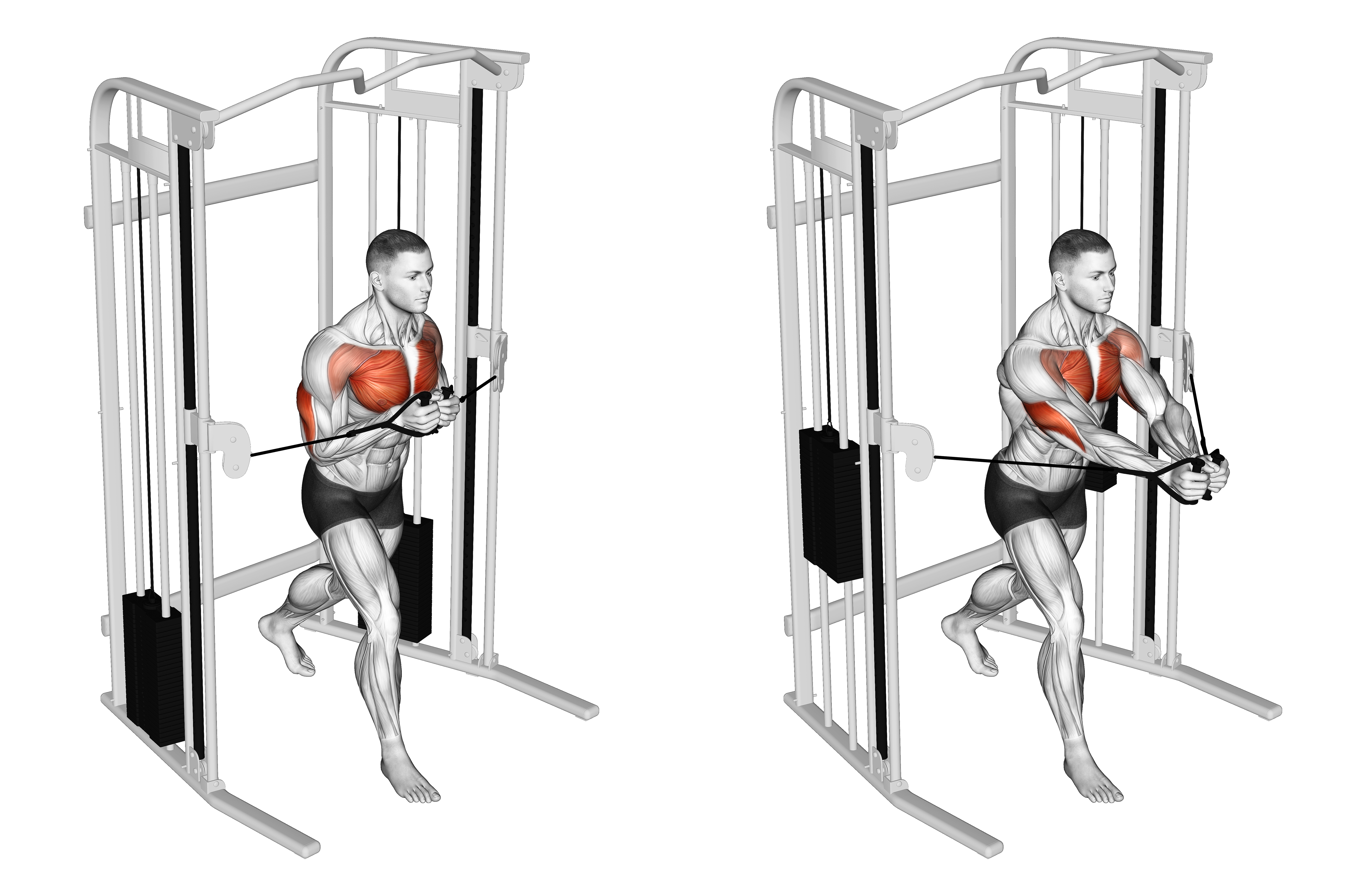 Cable Standing Close Press