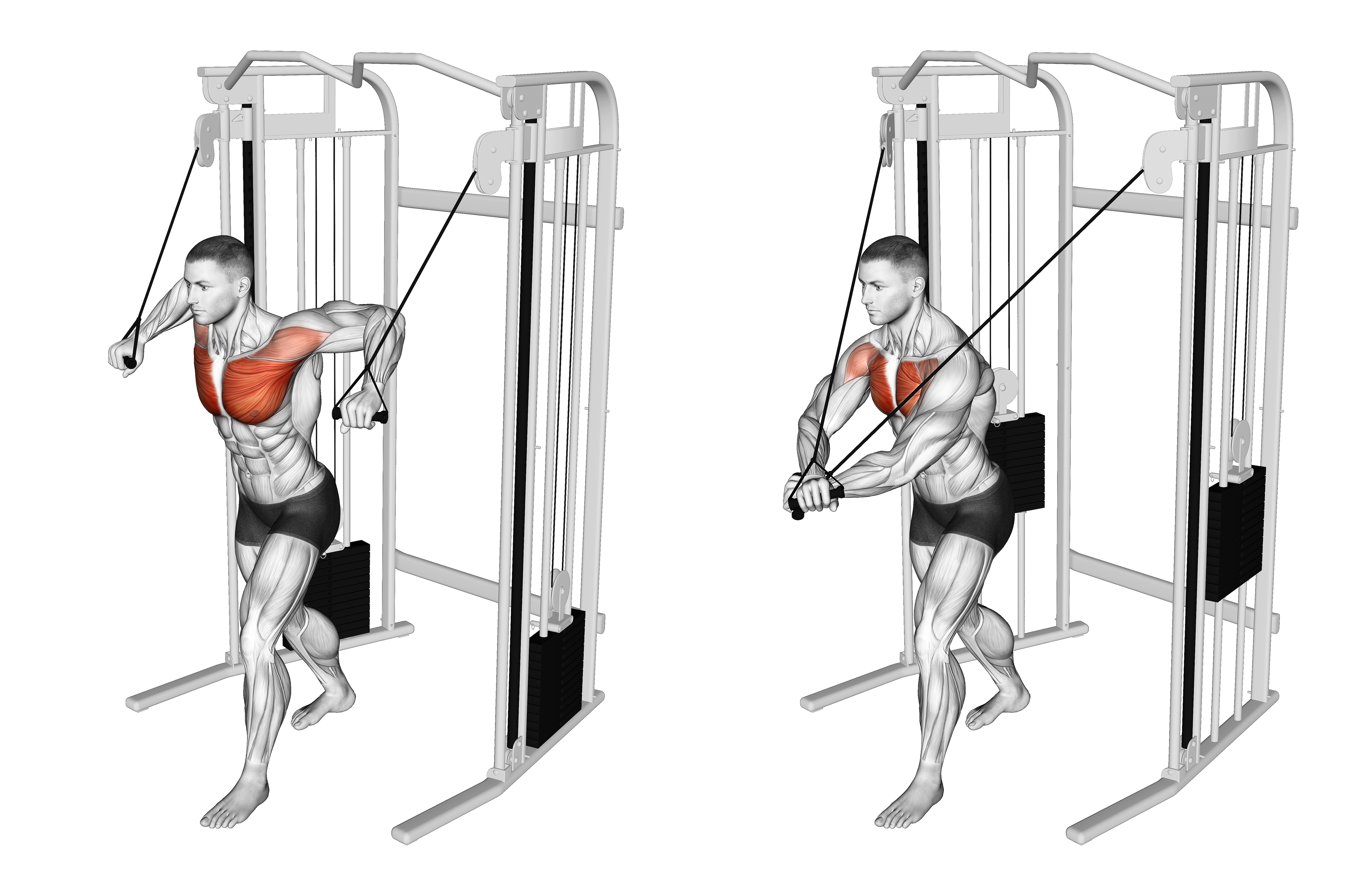 Cable Standing Crossover