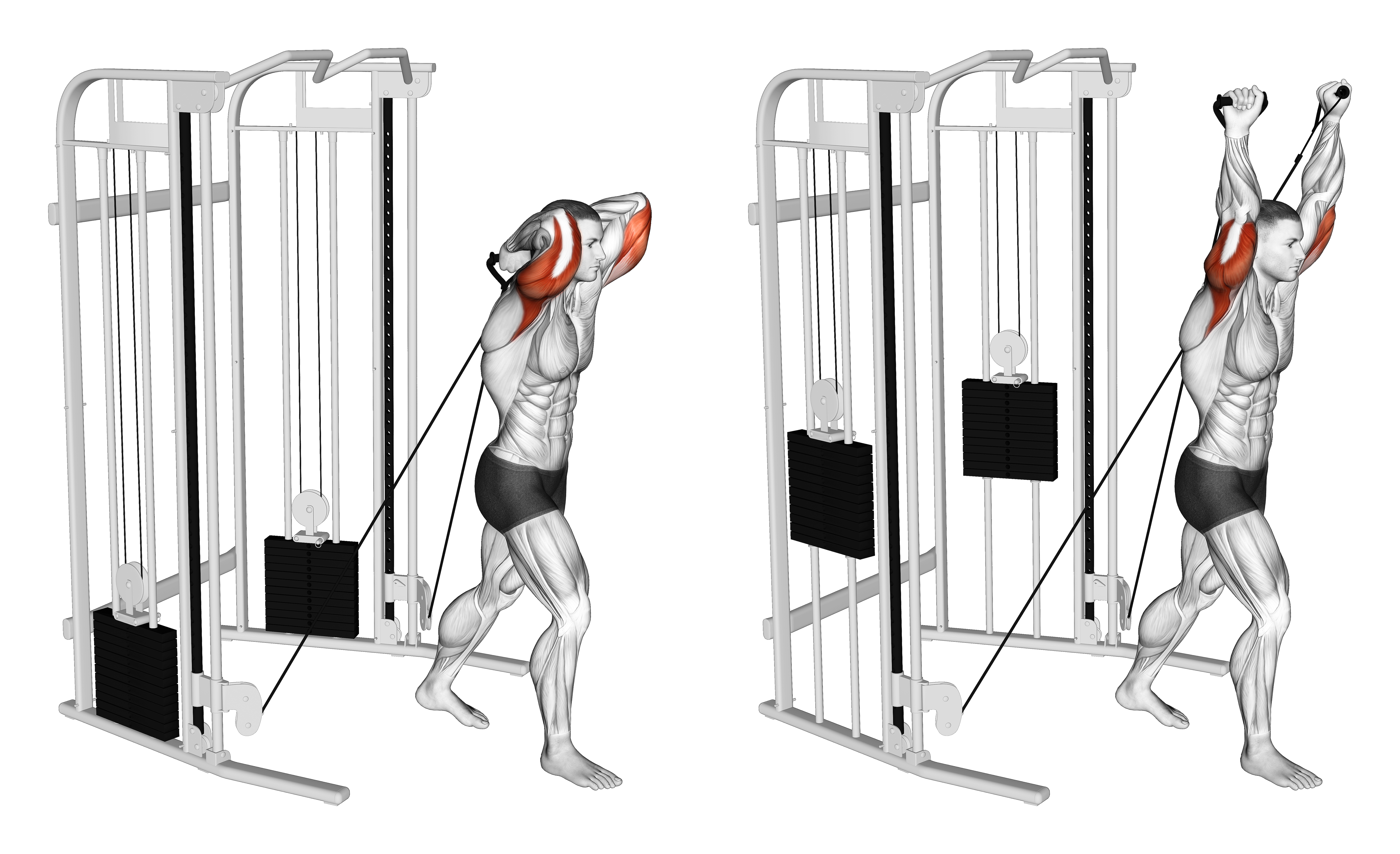 Cable Standing Crossover Overhead Tricep Extension