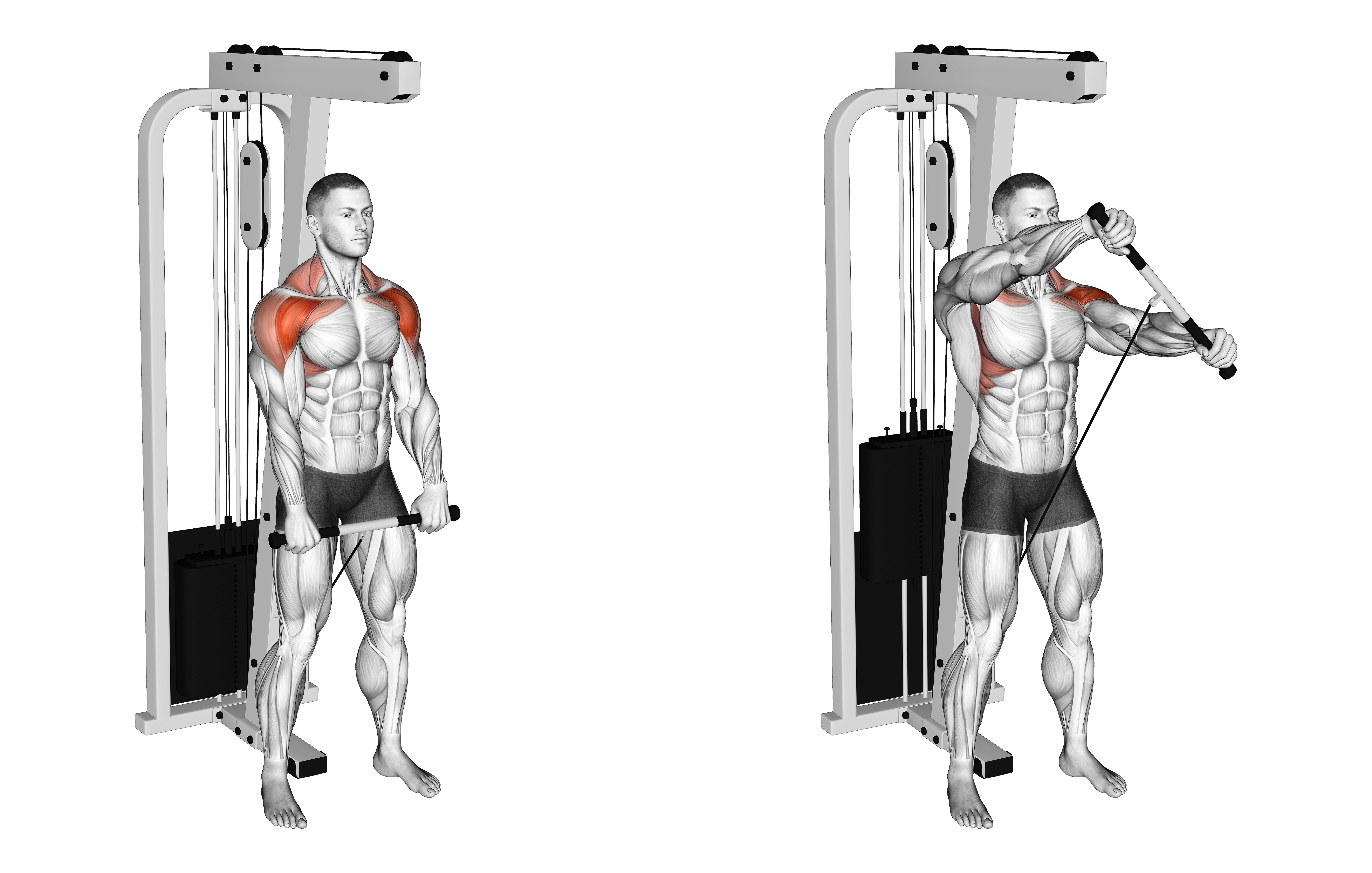Cable Standing Front Raise Variation