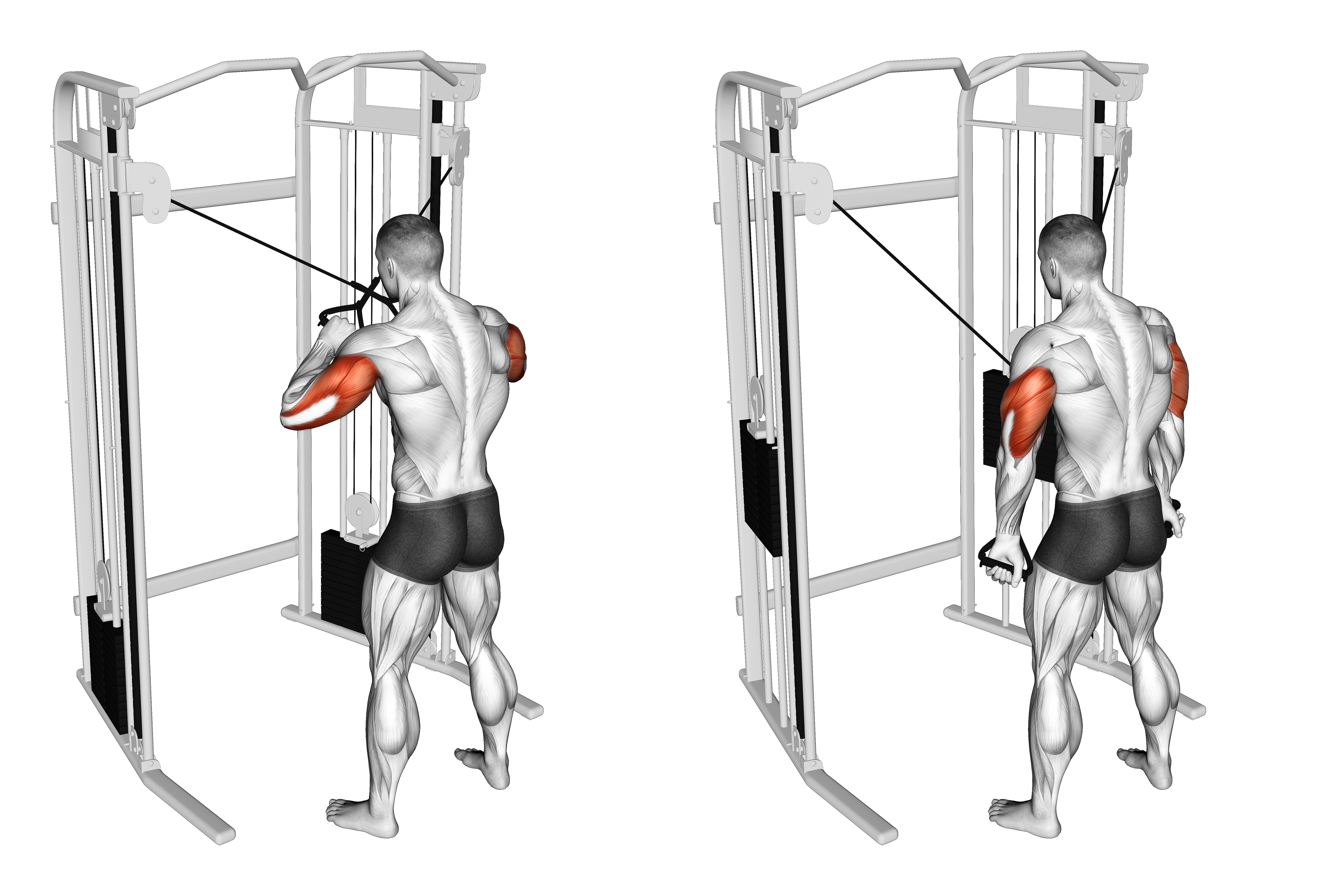 Cable Standing High Cross Triceps Extension