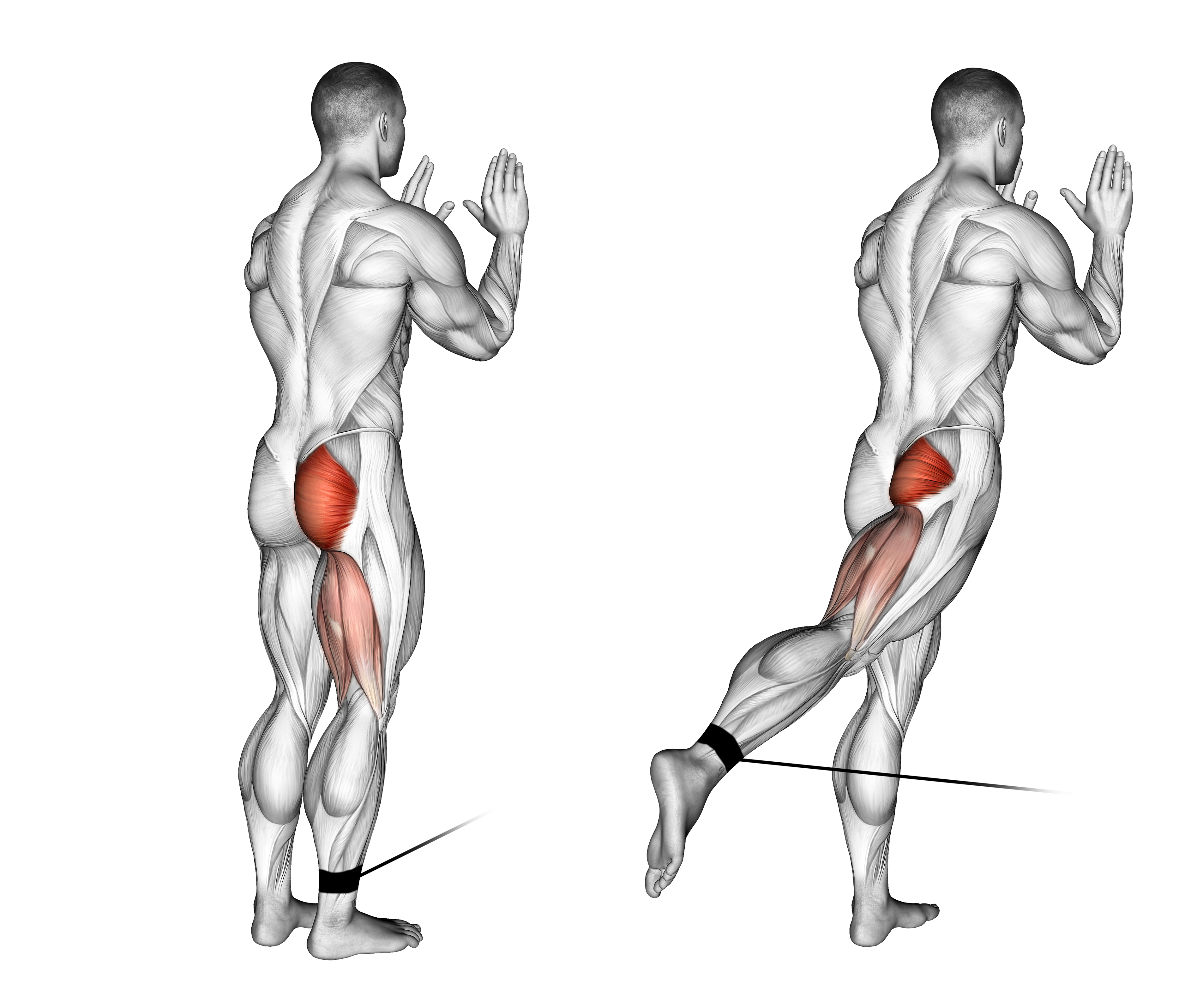 Cable Standing Hip Extension