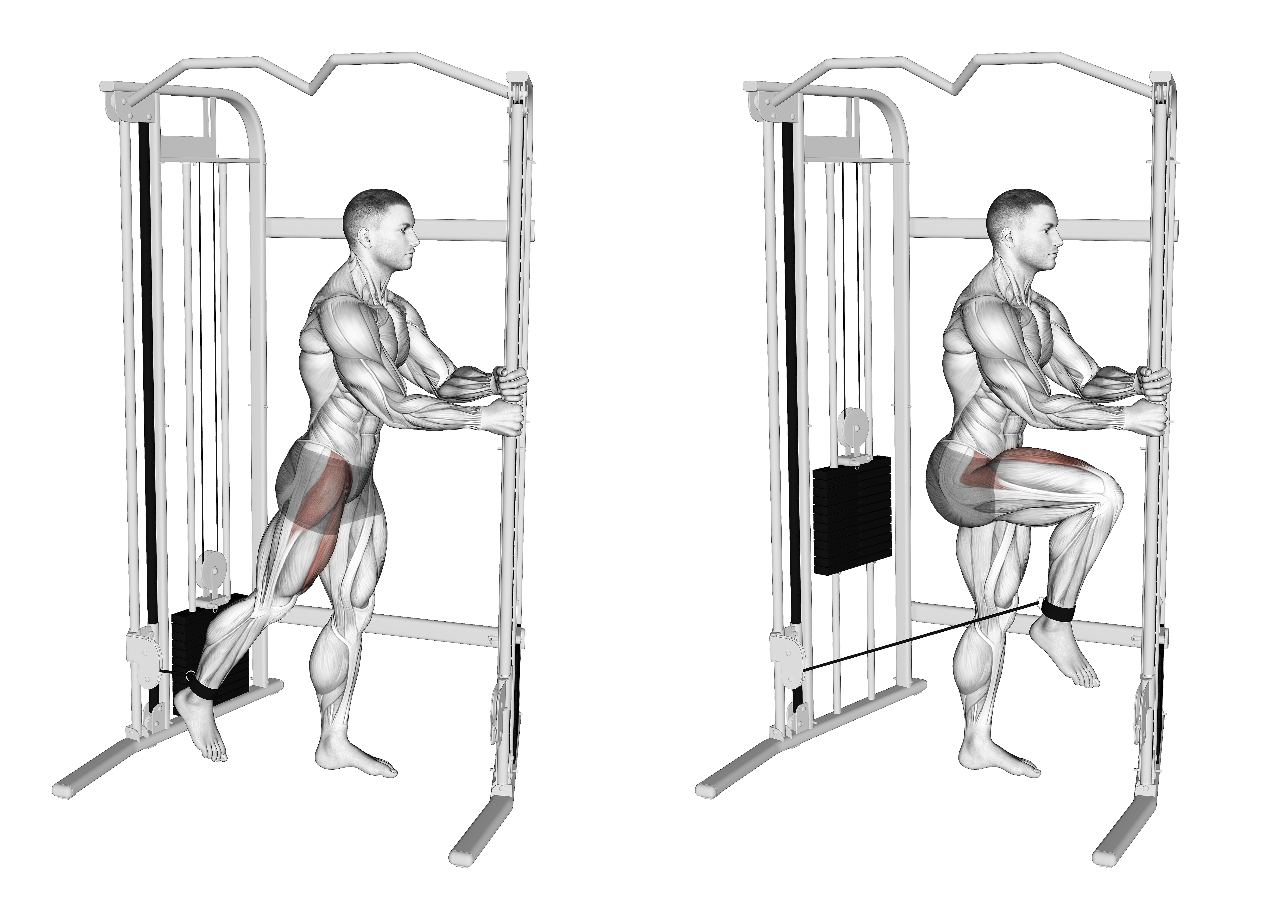 Cable Standing Hip Flexion