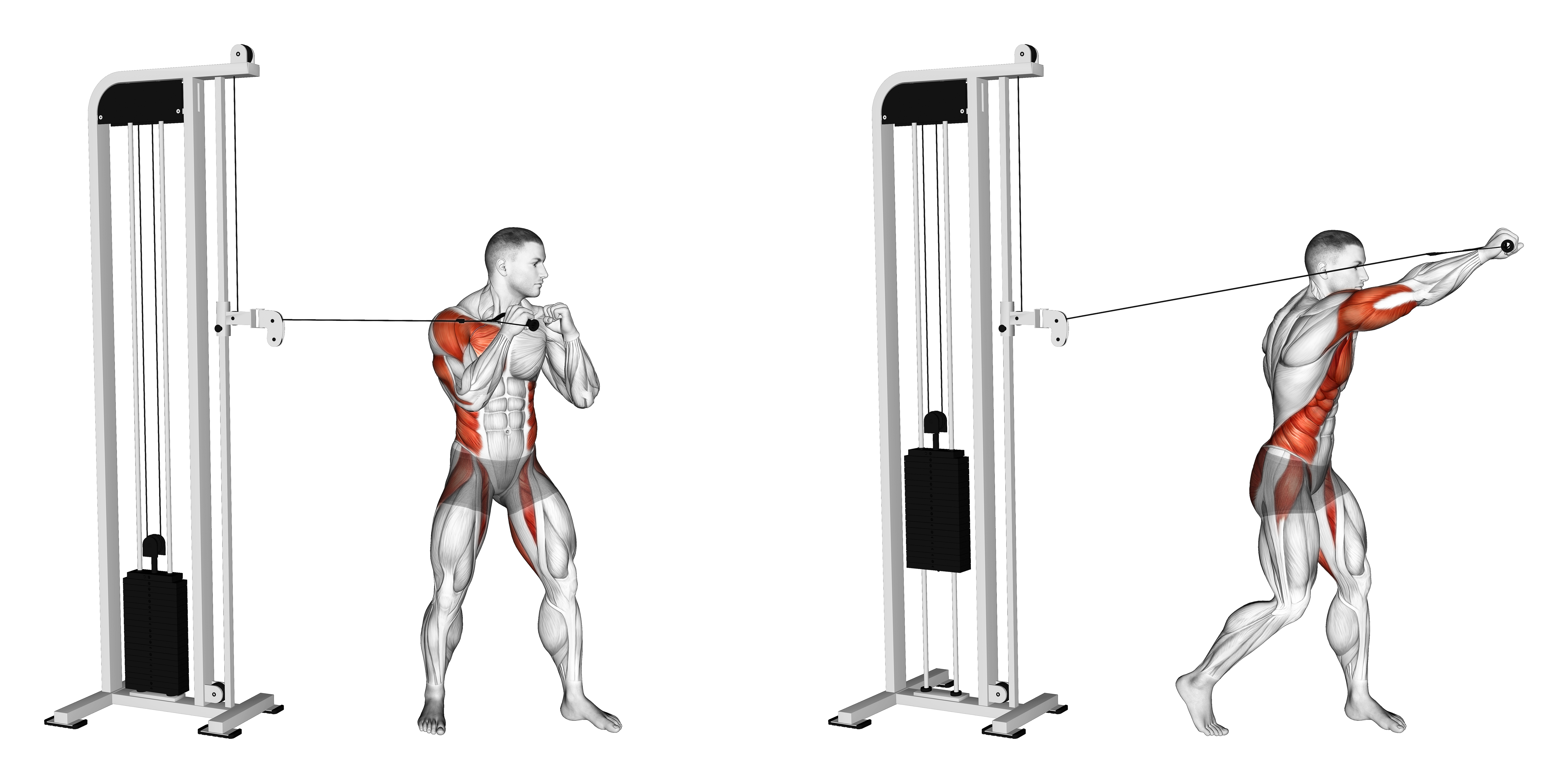 Cable Standing Jab