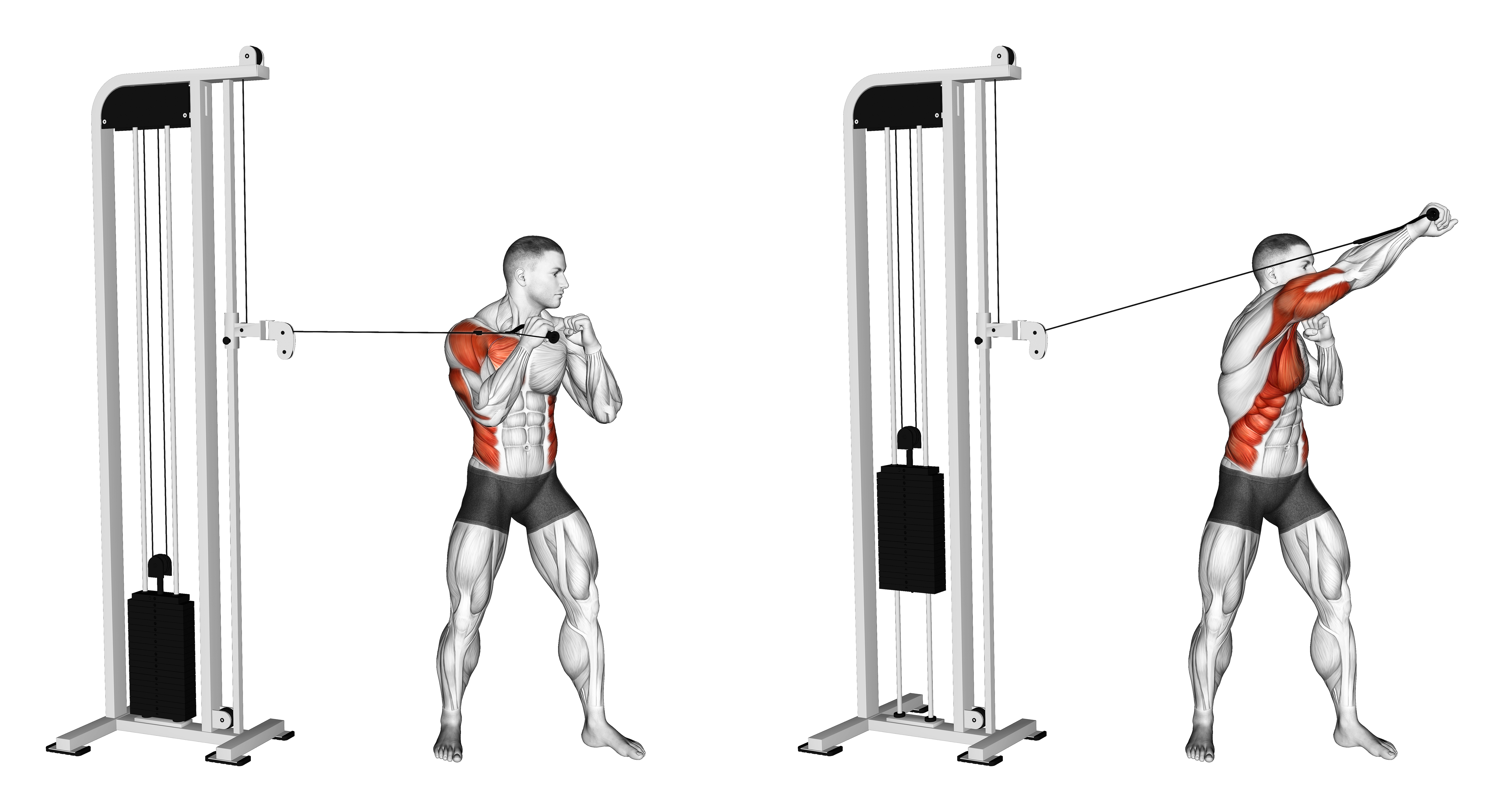 Cable Standing Jab Version 2