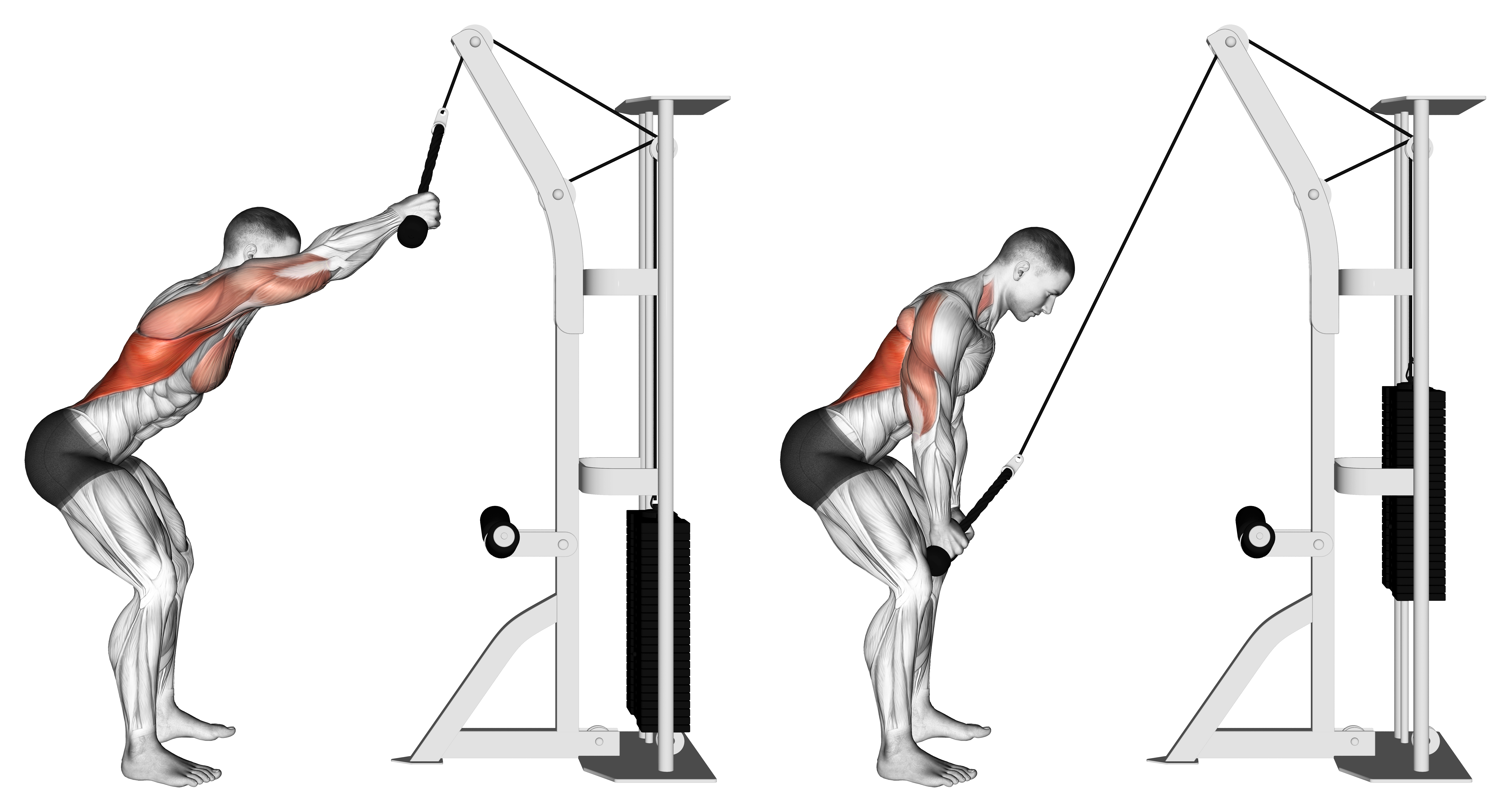 Cable Standing Lat Pushdown (rope Equipment)