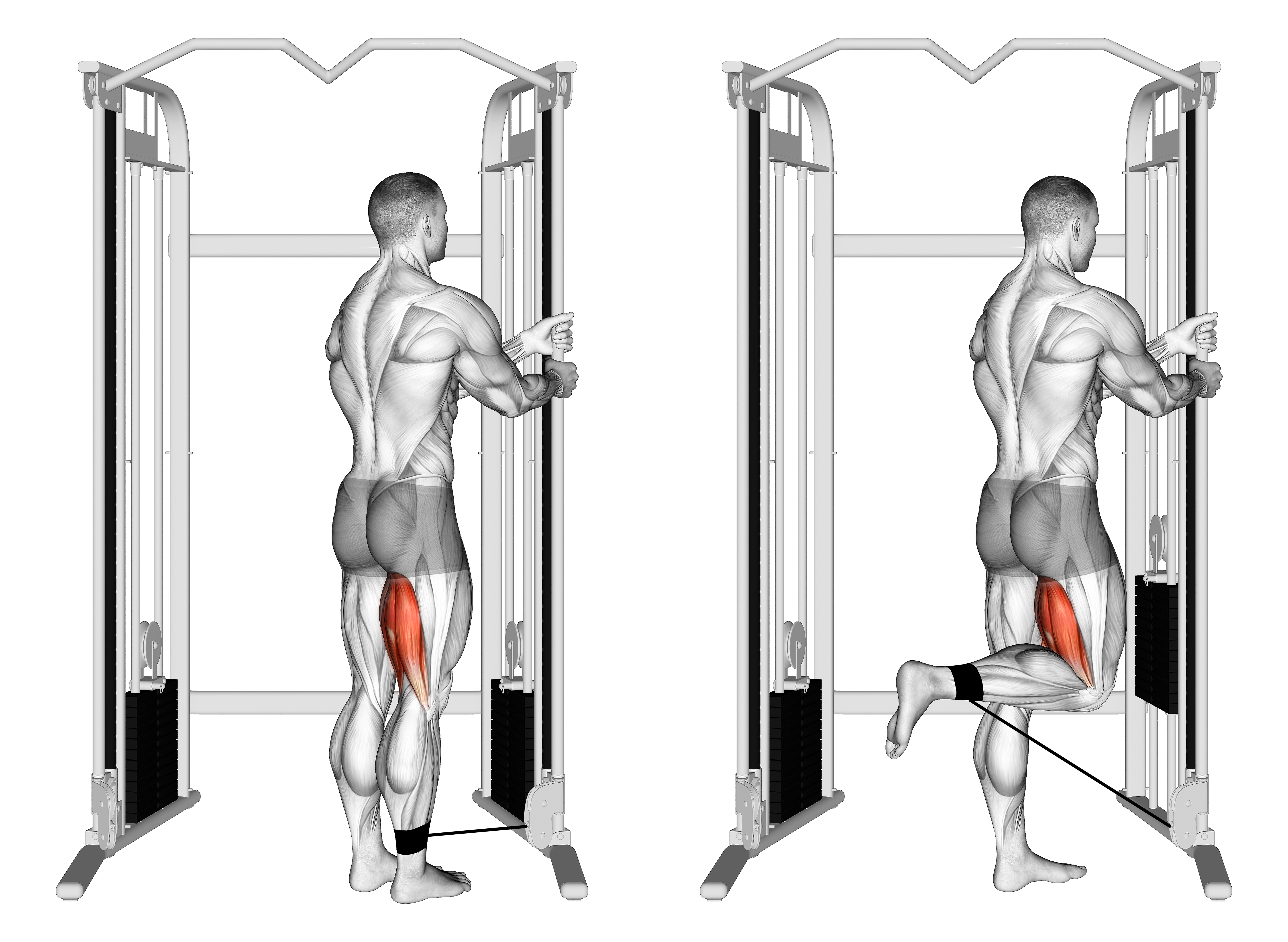 Cable Standing Leg Curl