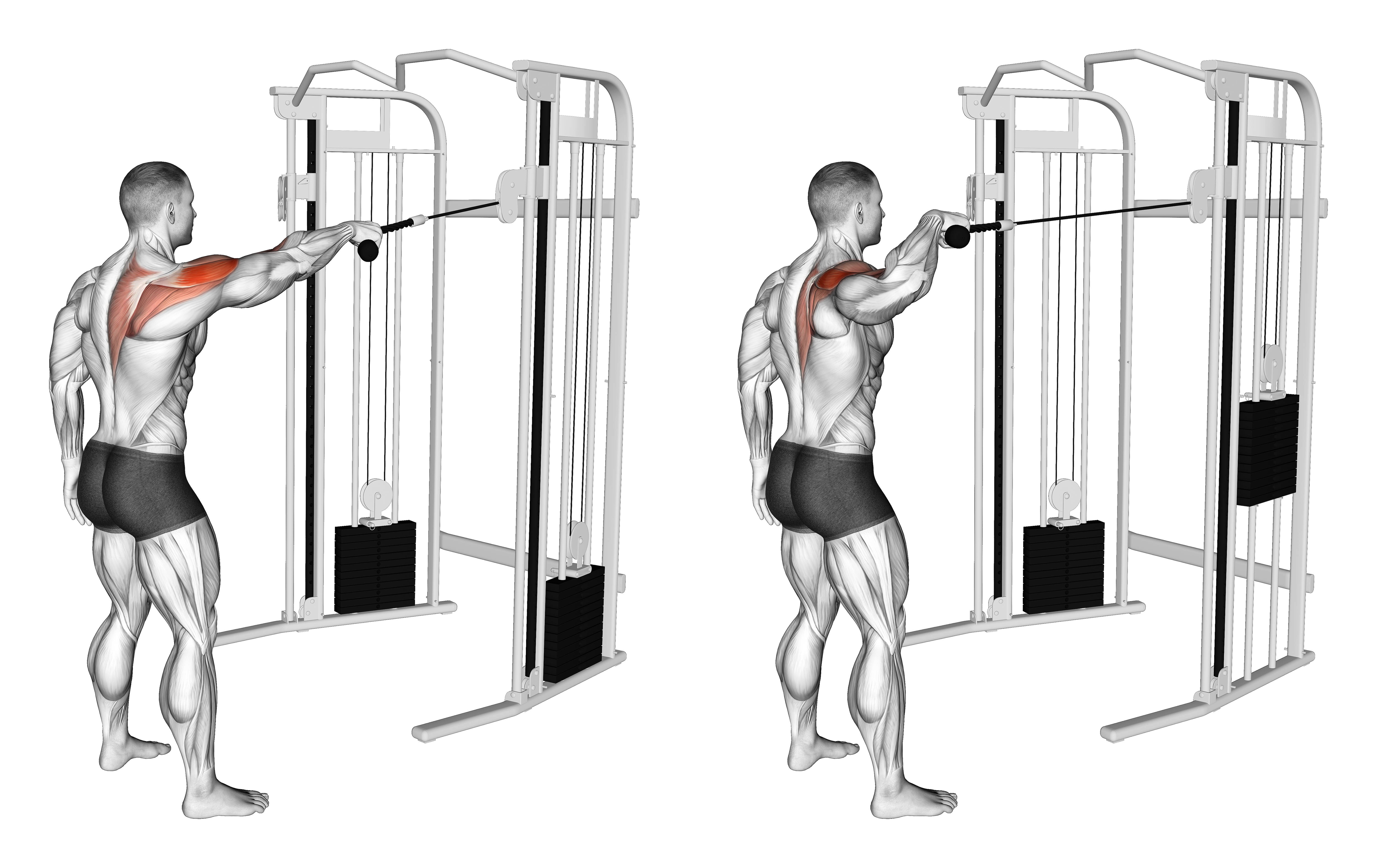 Cable Standing One Arm Face Pull
