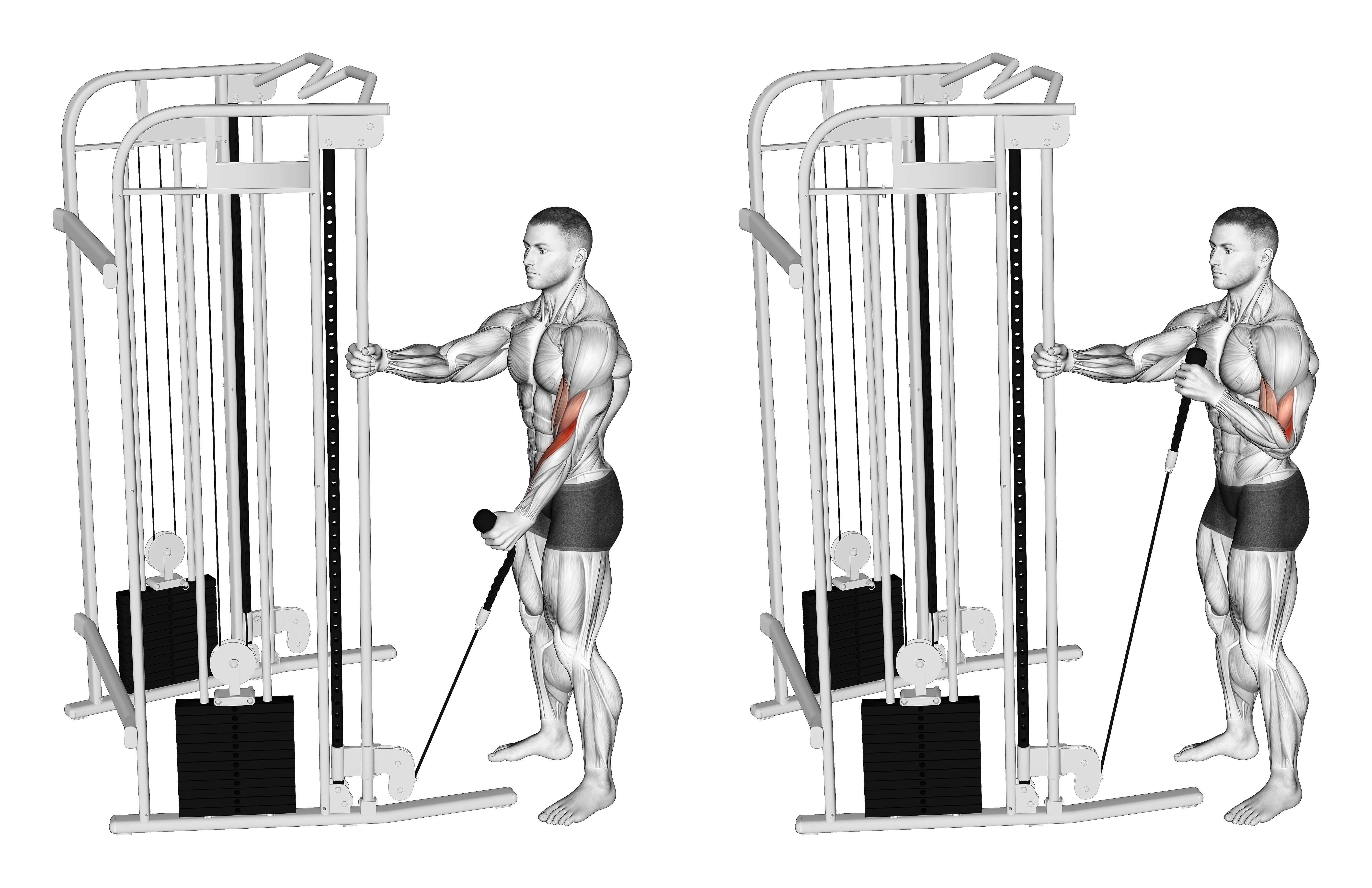 Cable Standing One Arm Hammer Curl With Rope Attachment
