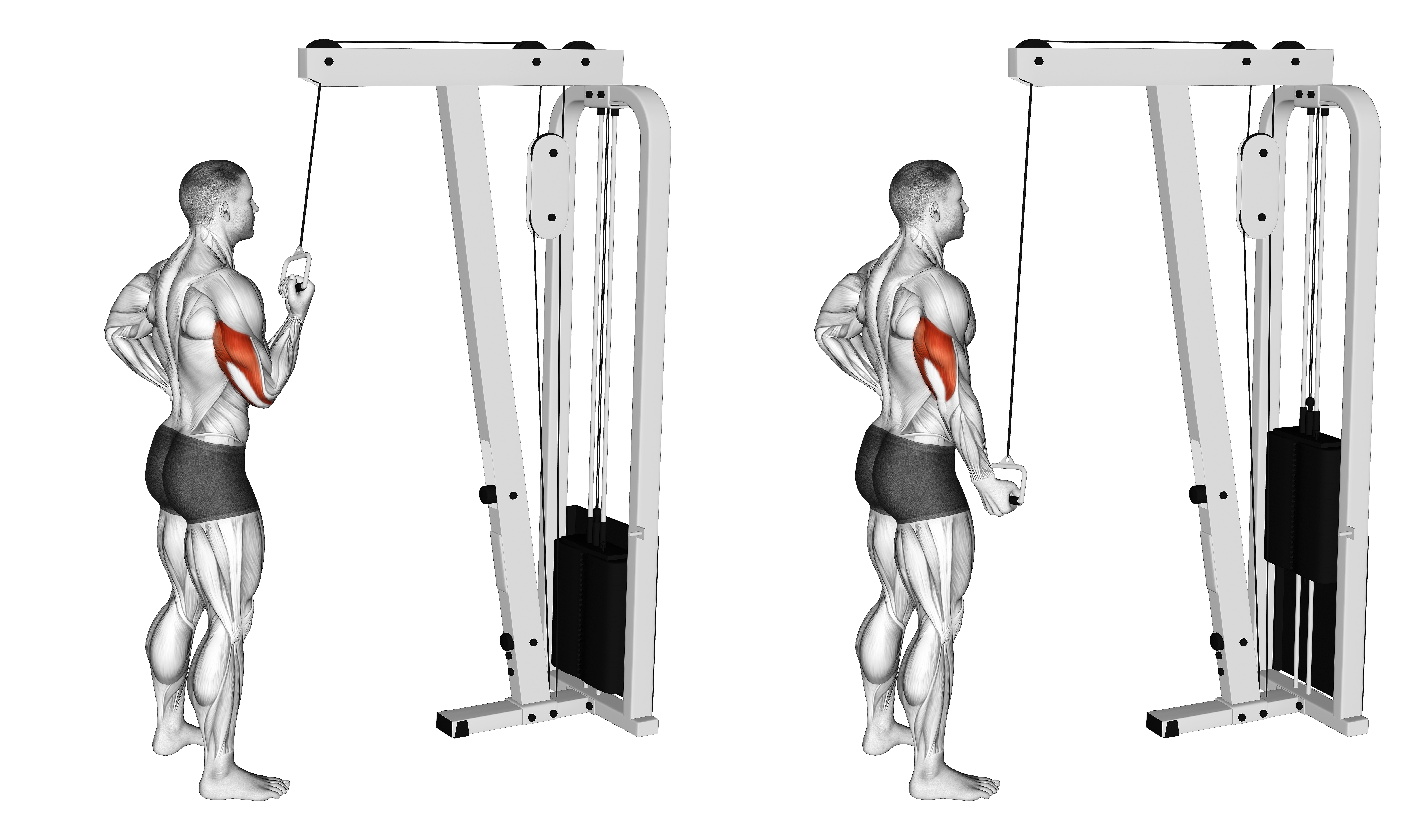 Cable Standing One Arm Triceps Extension