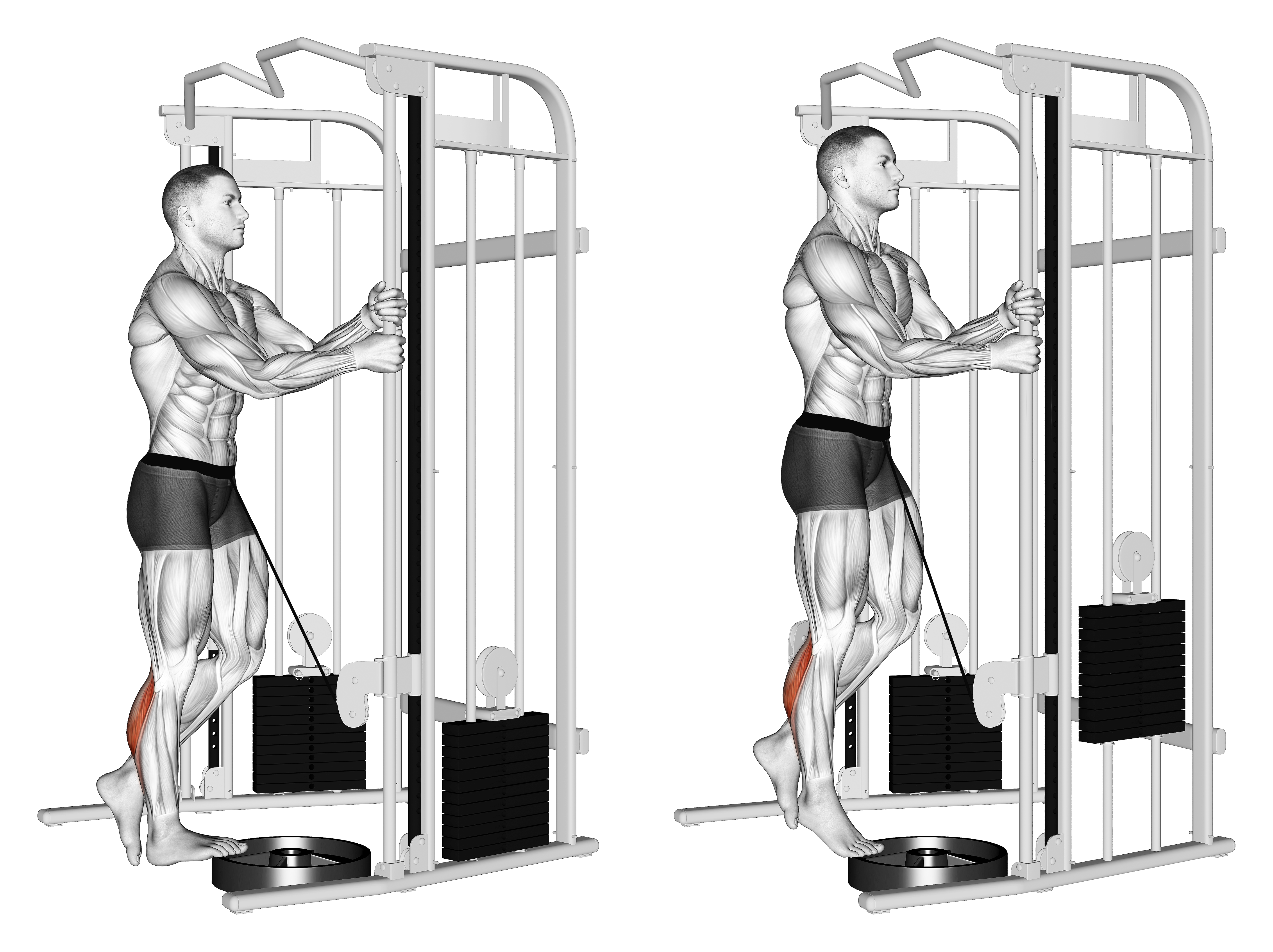 Cable Standing One Leg Calf Raise