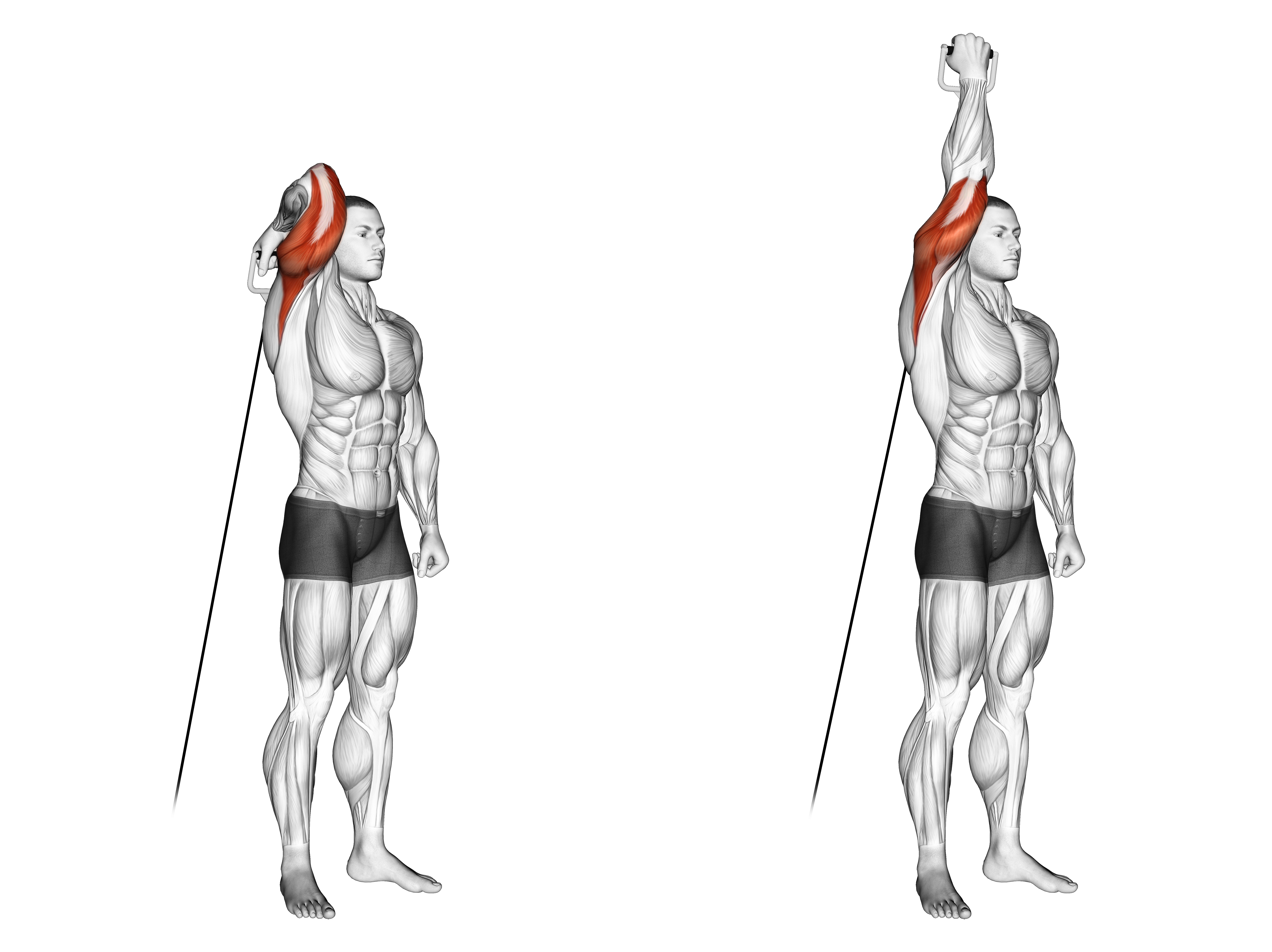 Cable Standing Reverse Grip One Arm Overhead Tricep Extension