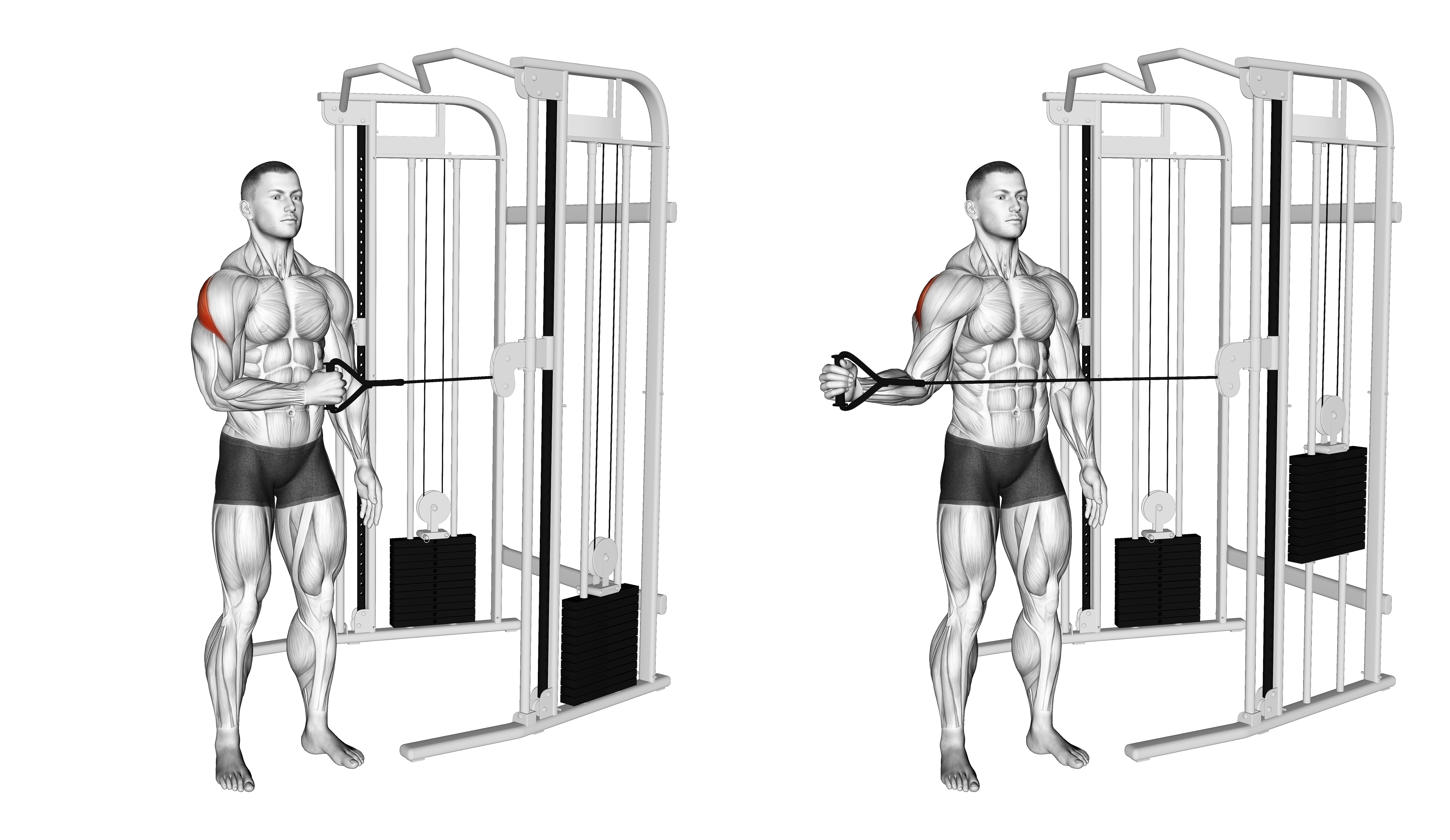 Cable Standing Shoulder External Rotation
