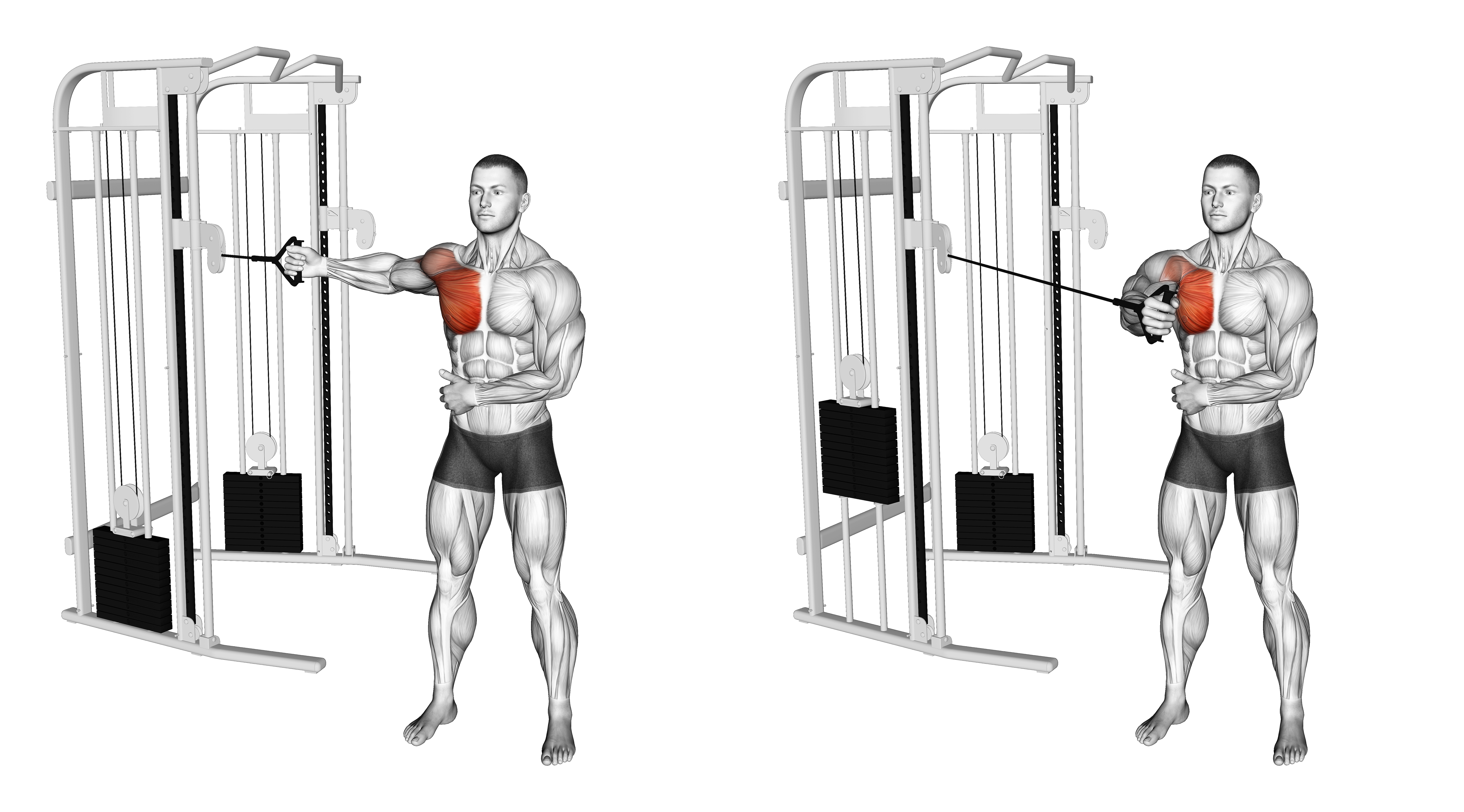 Cable Standing Single Arm Fly