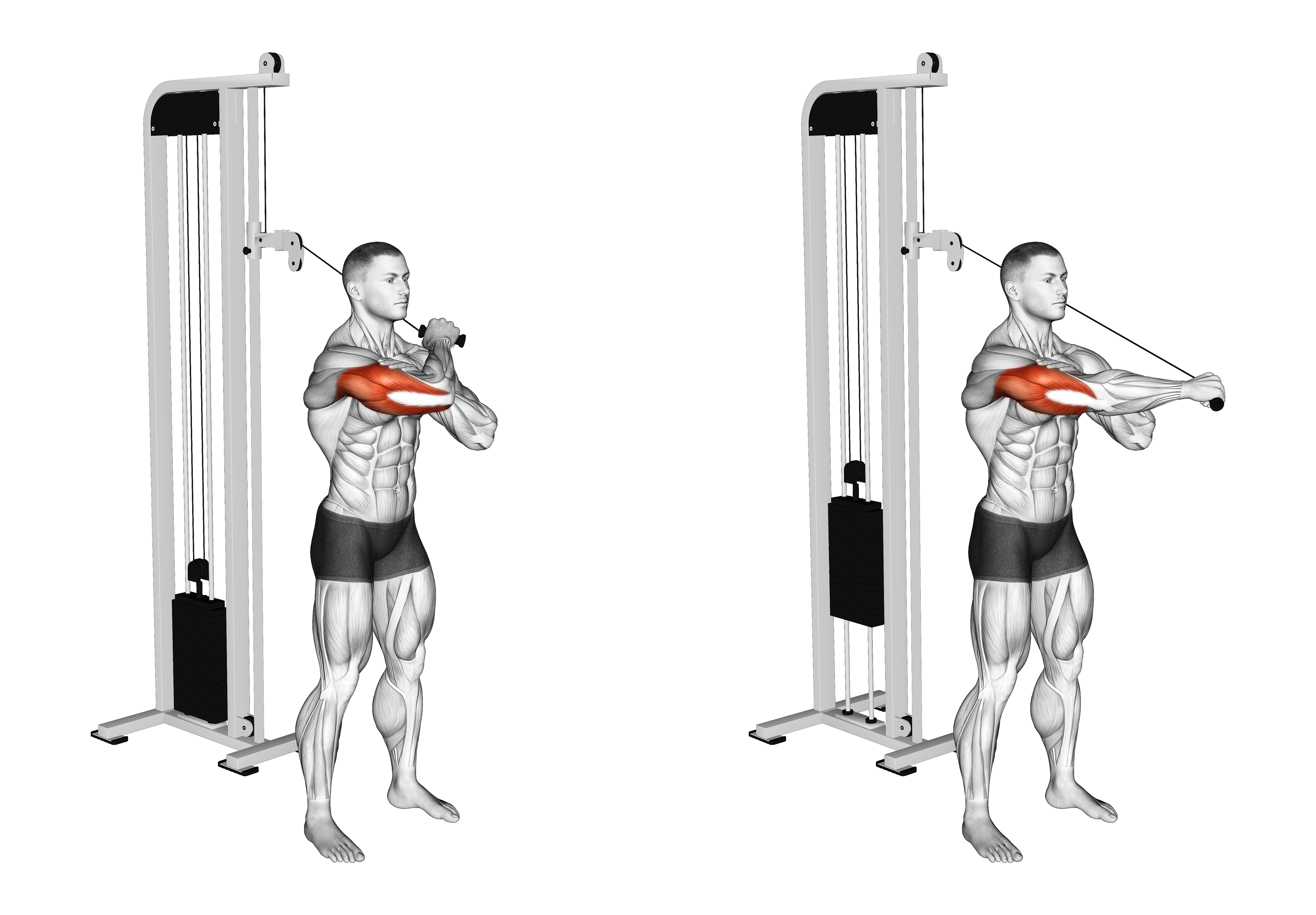 Cable Standing Single Arm Horizontal Triceps Extension