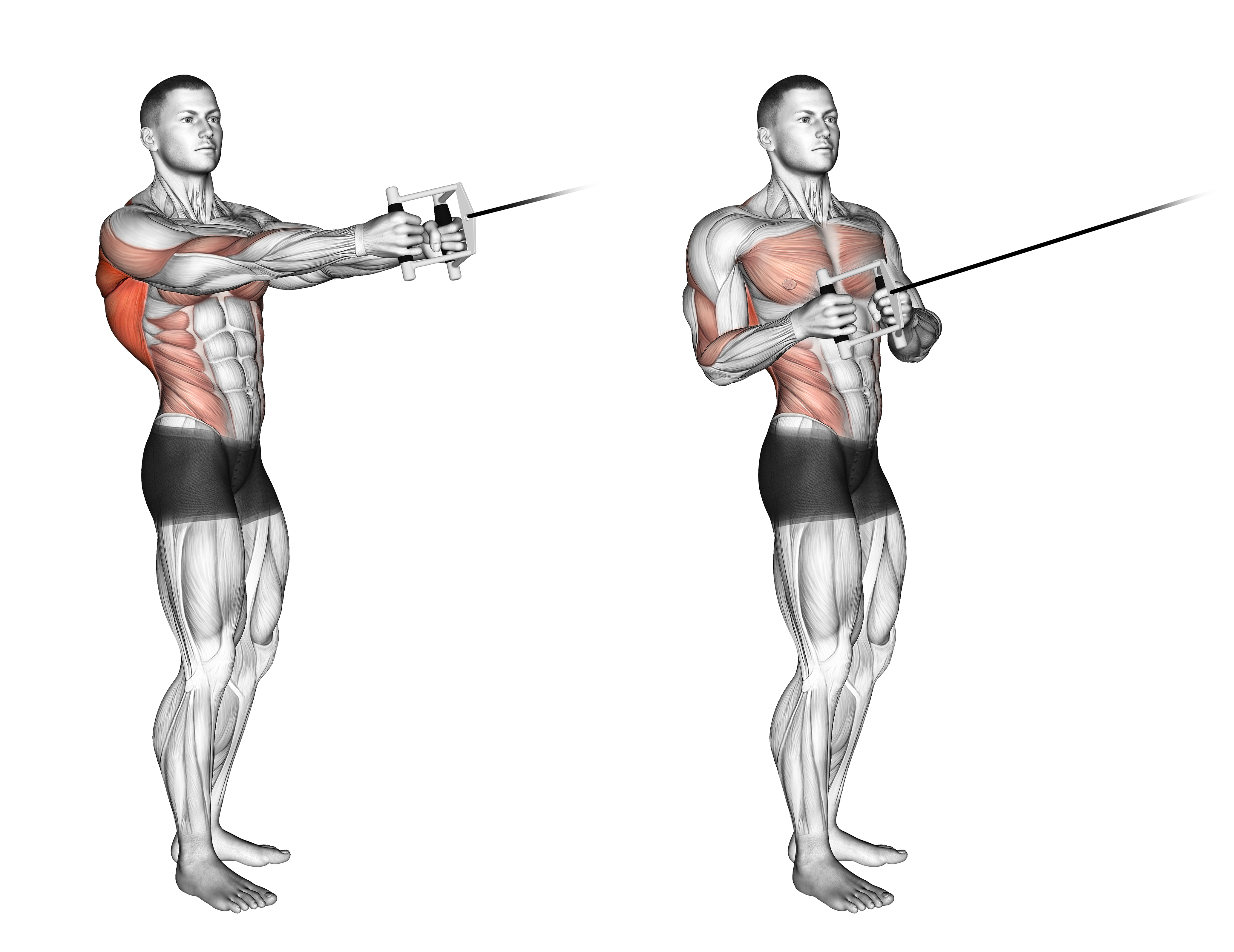 Cable Standing Twist Row (v Bar)