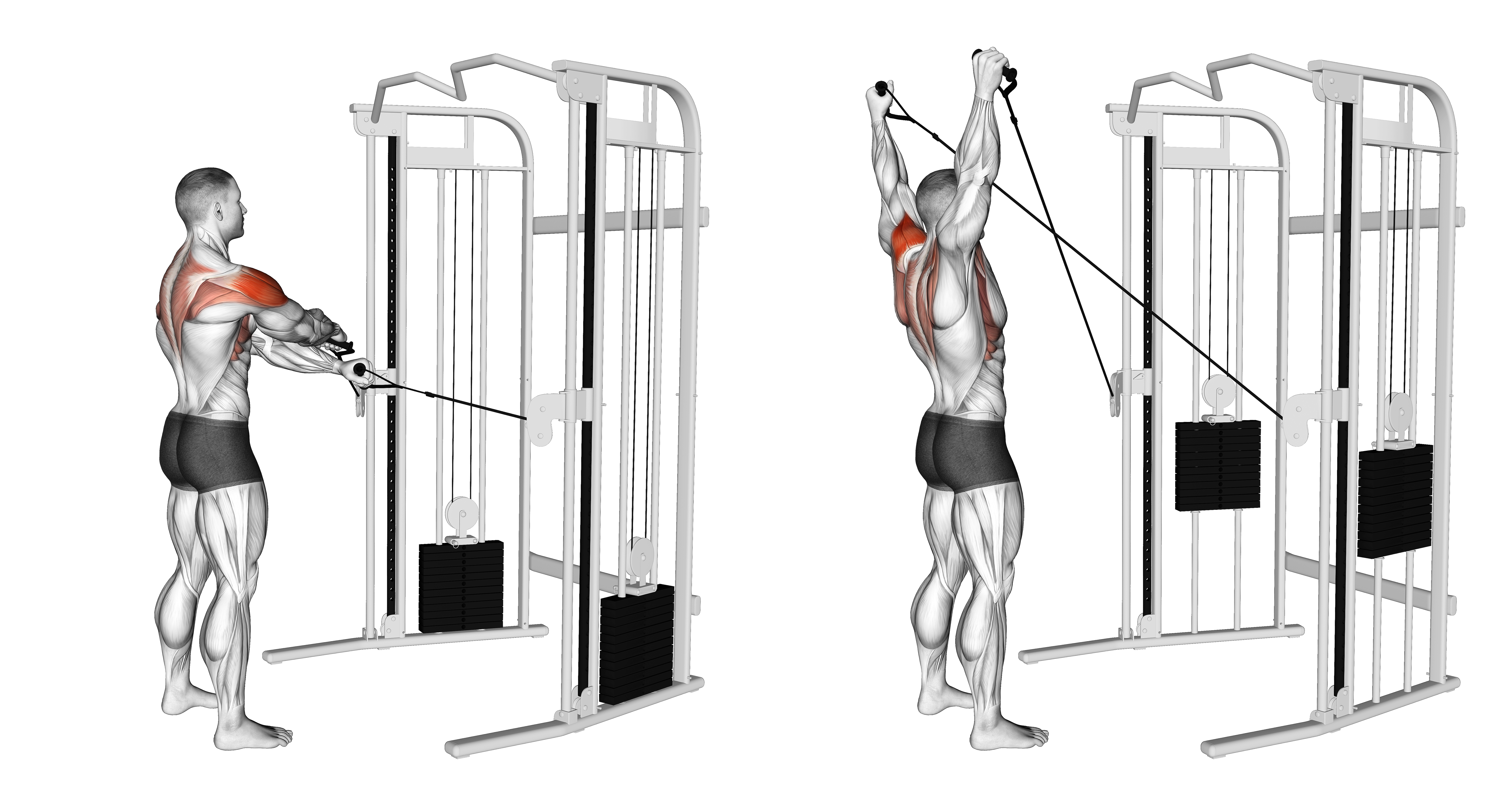 Cable Standing Y Raise (version 2)