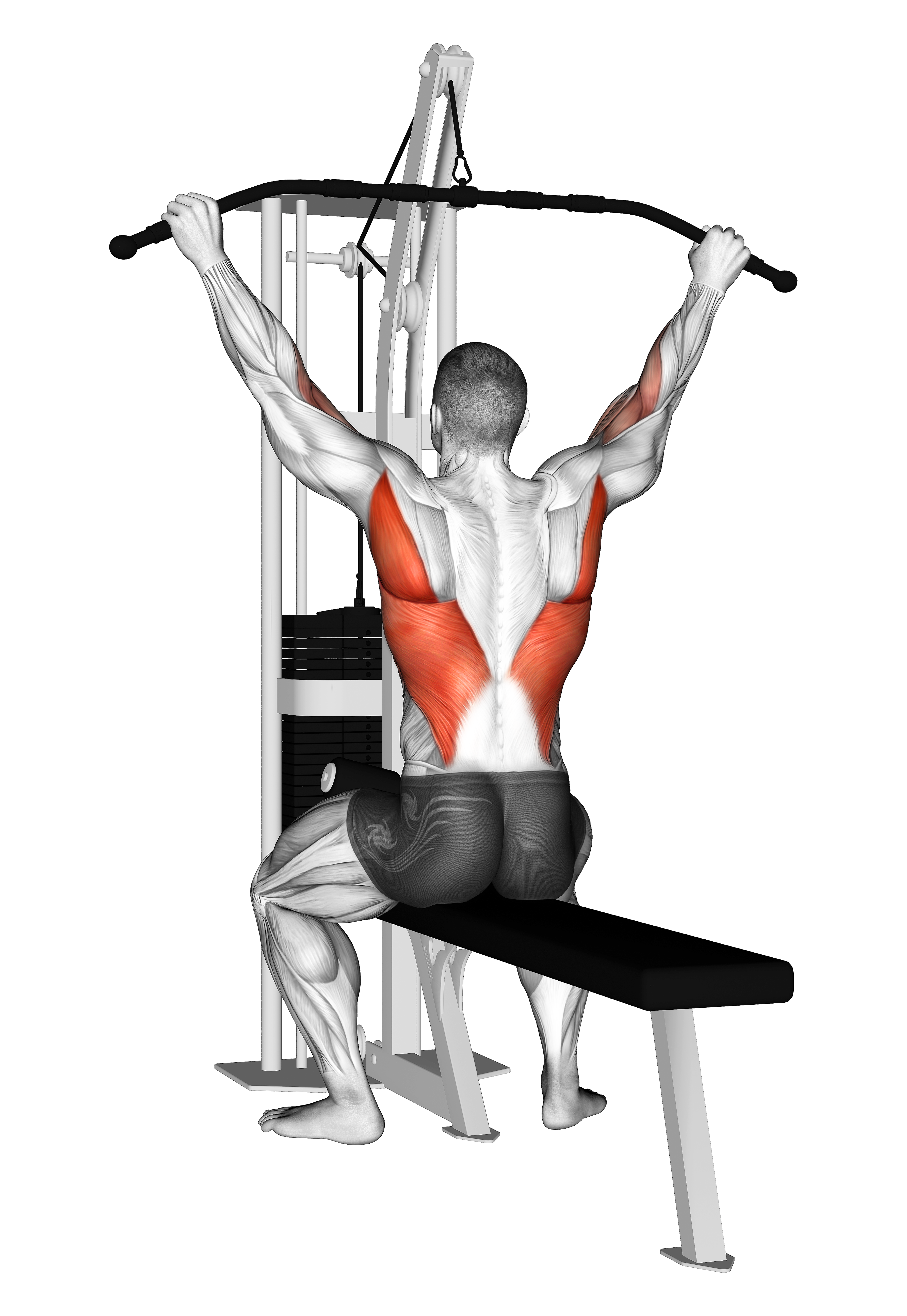 Cable Suspension Back Stretch
