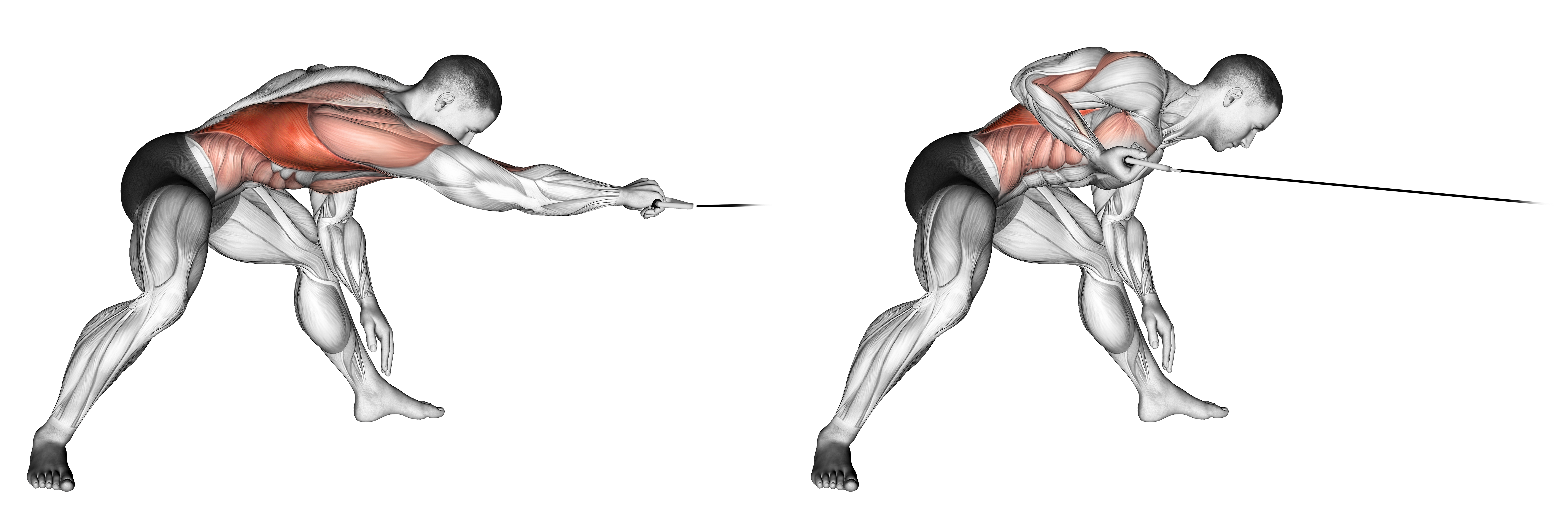 Cable Twisting Pull