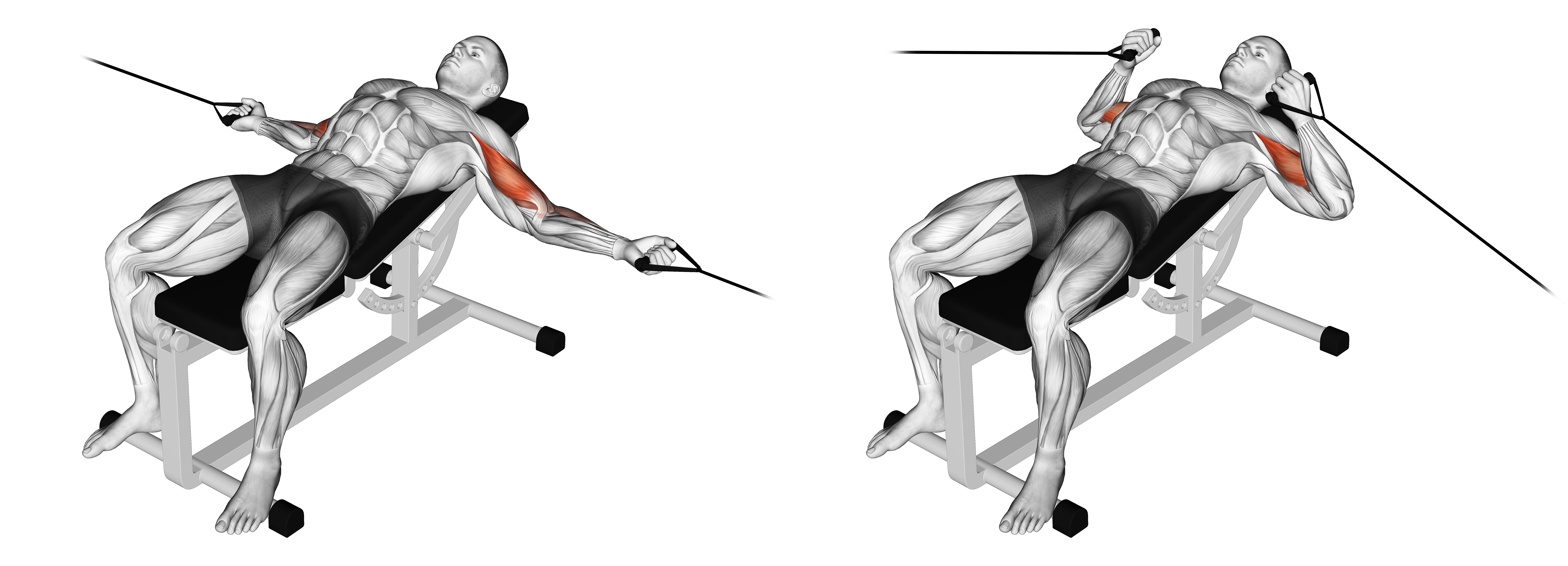 Cable Two Arm Curl On Incline Bench