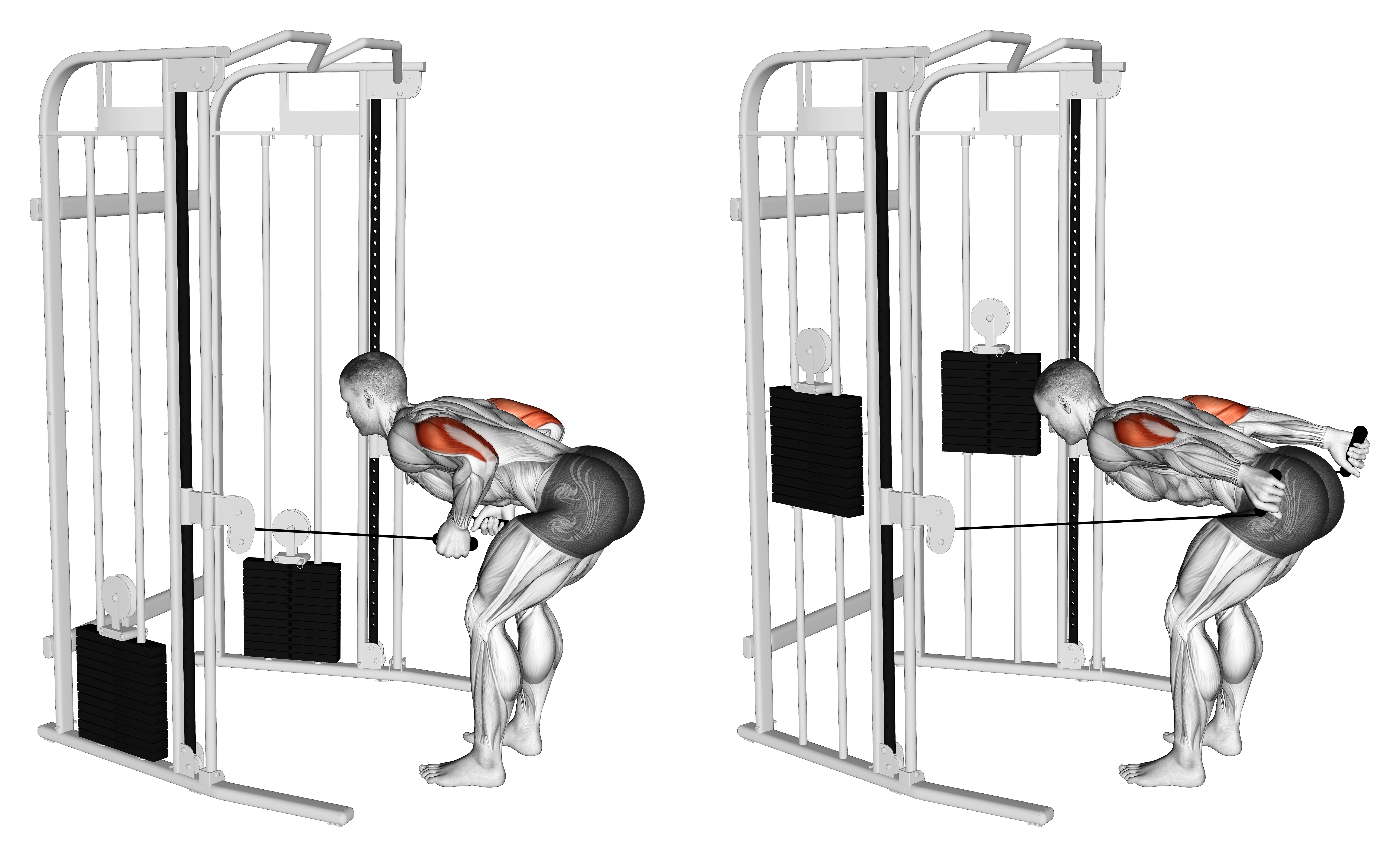 Cable Two Arm Tricep Kickback