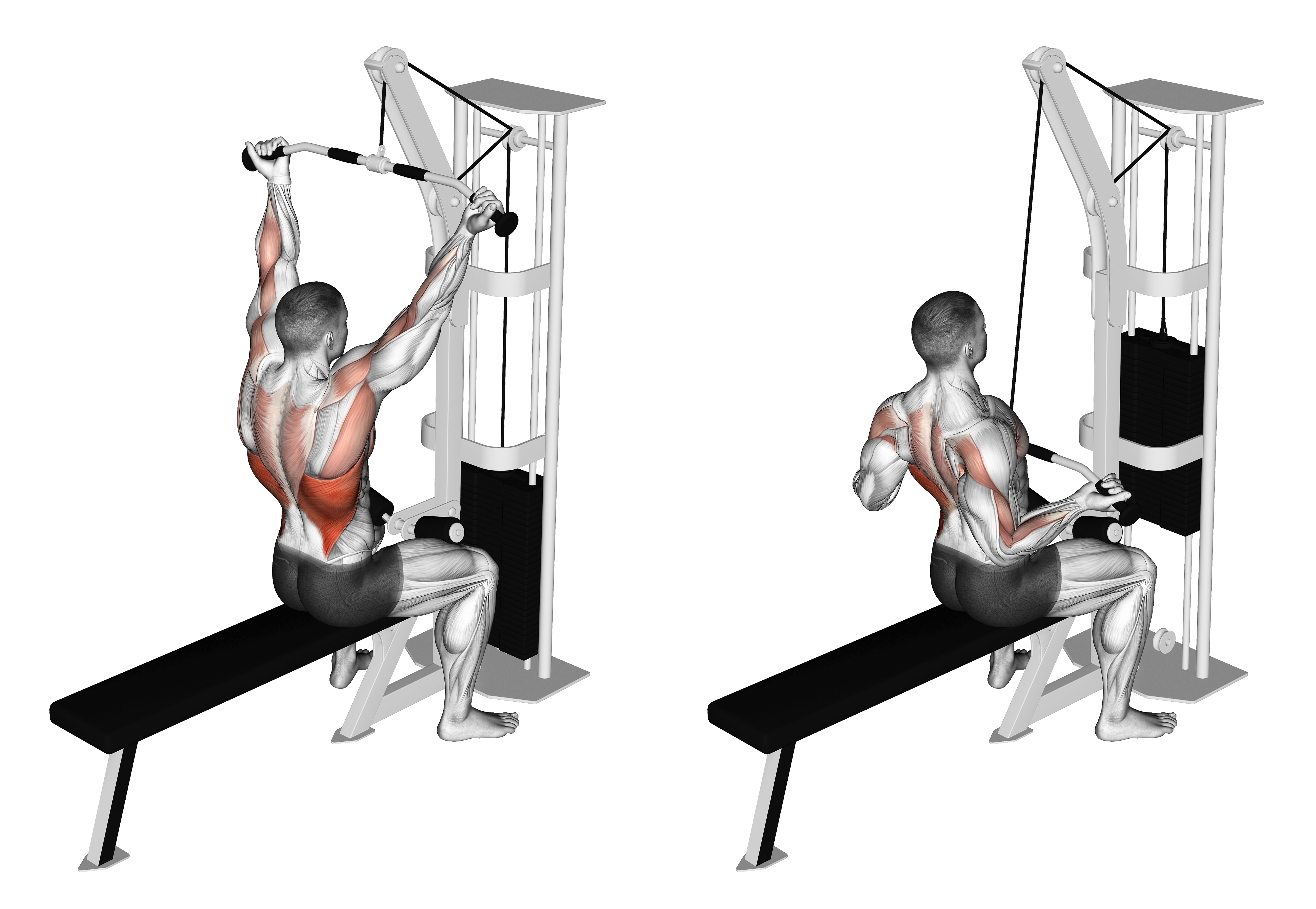 Cable Underhand Pulldown