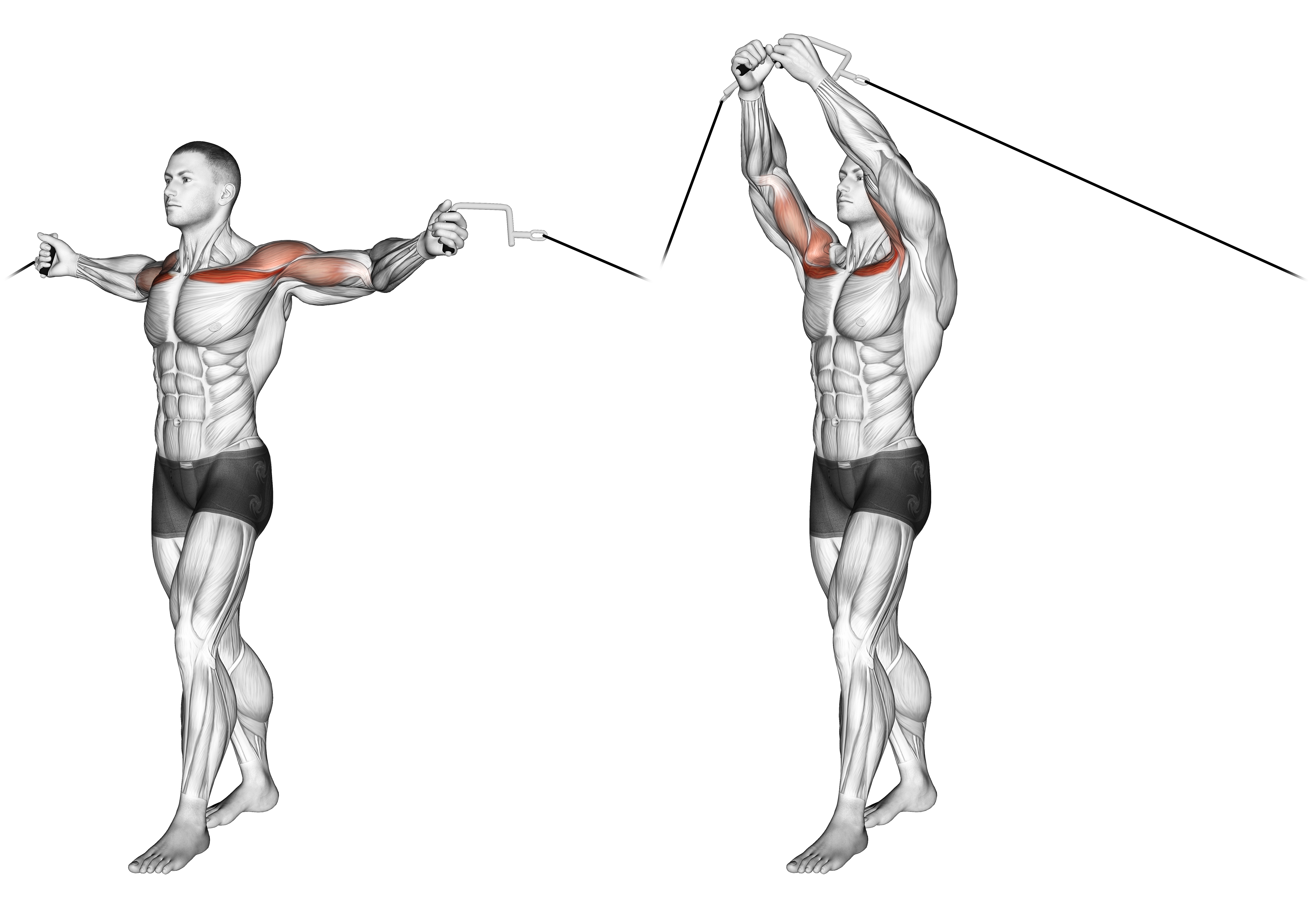 Cable Upper Chest Crossovers