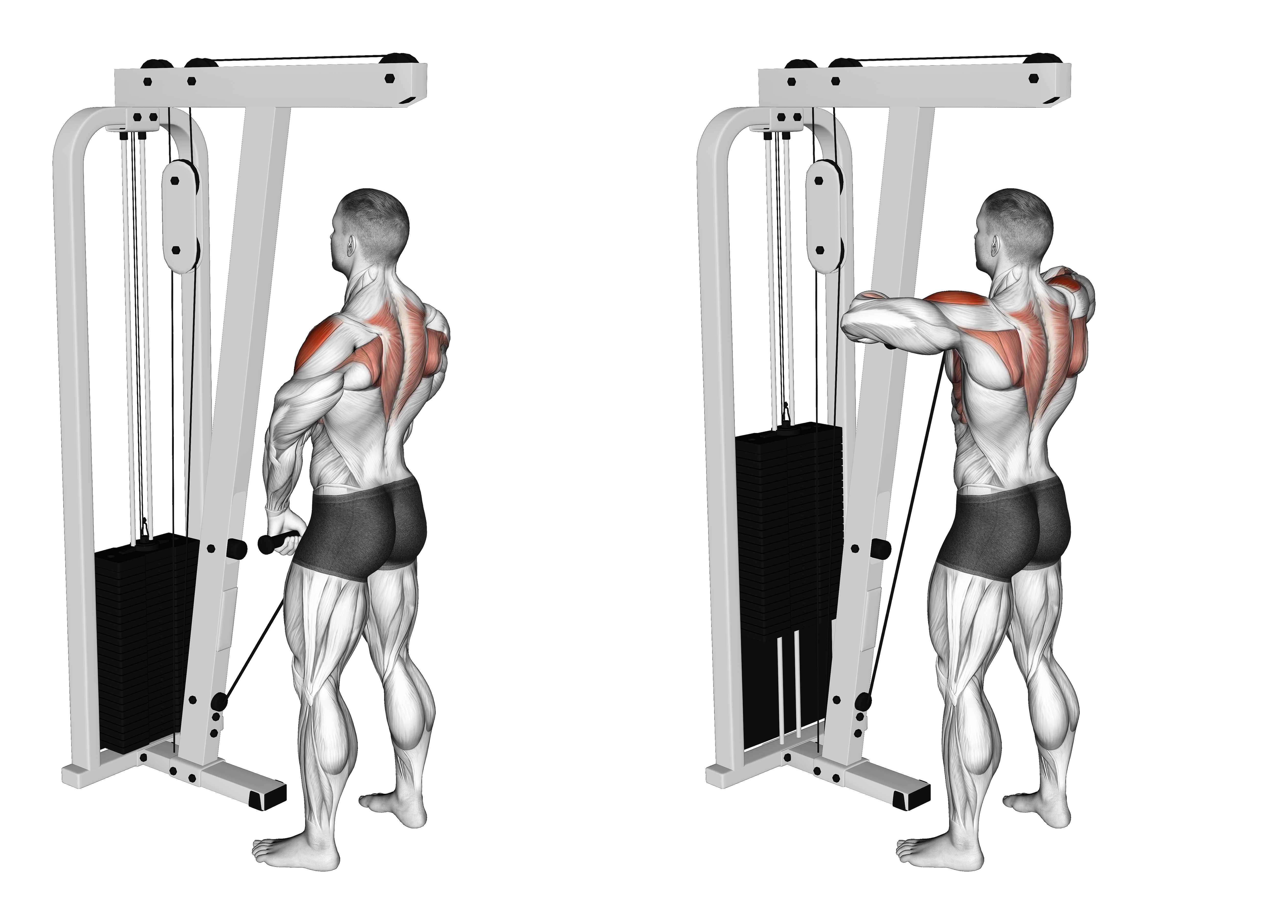 Cable Upright Row