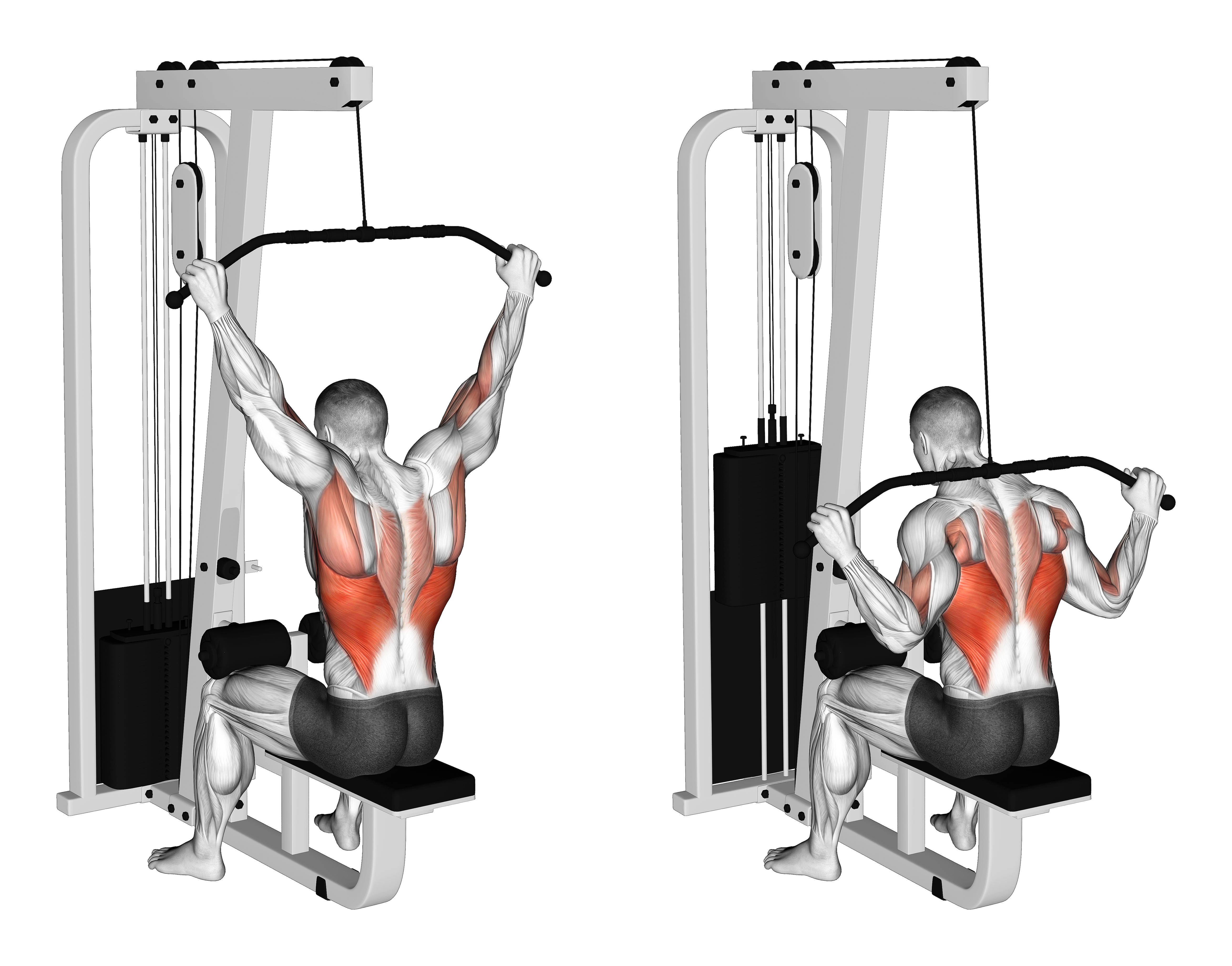 Cable Wide Grip Behind Neck Pulldown