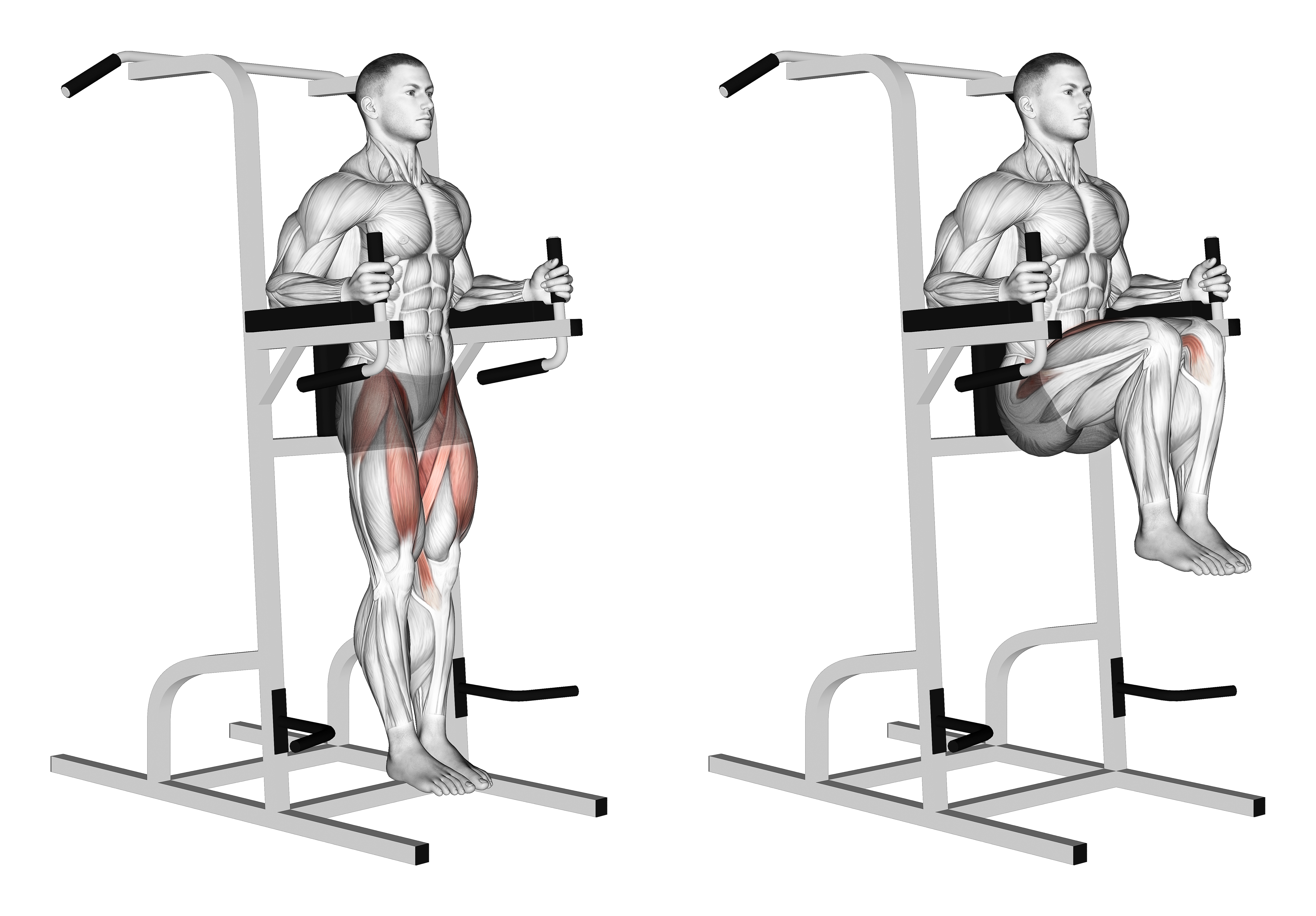 Captains Chair Leg Raise