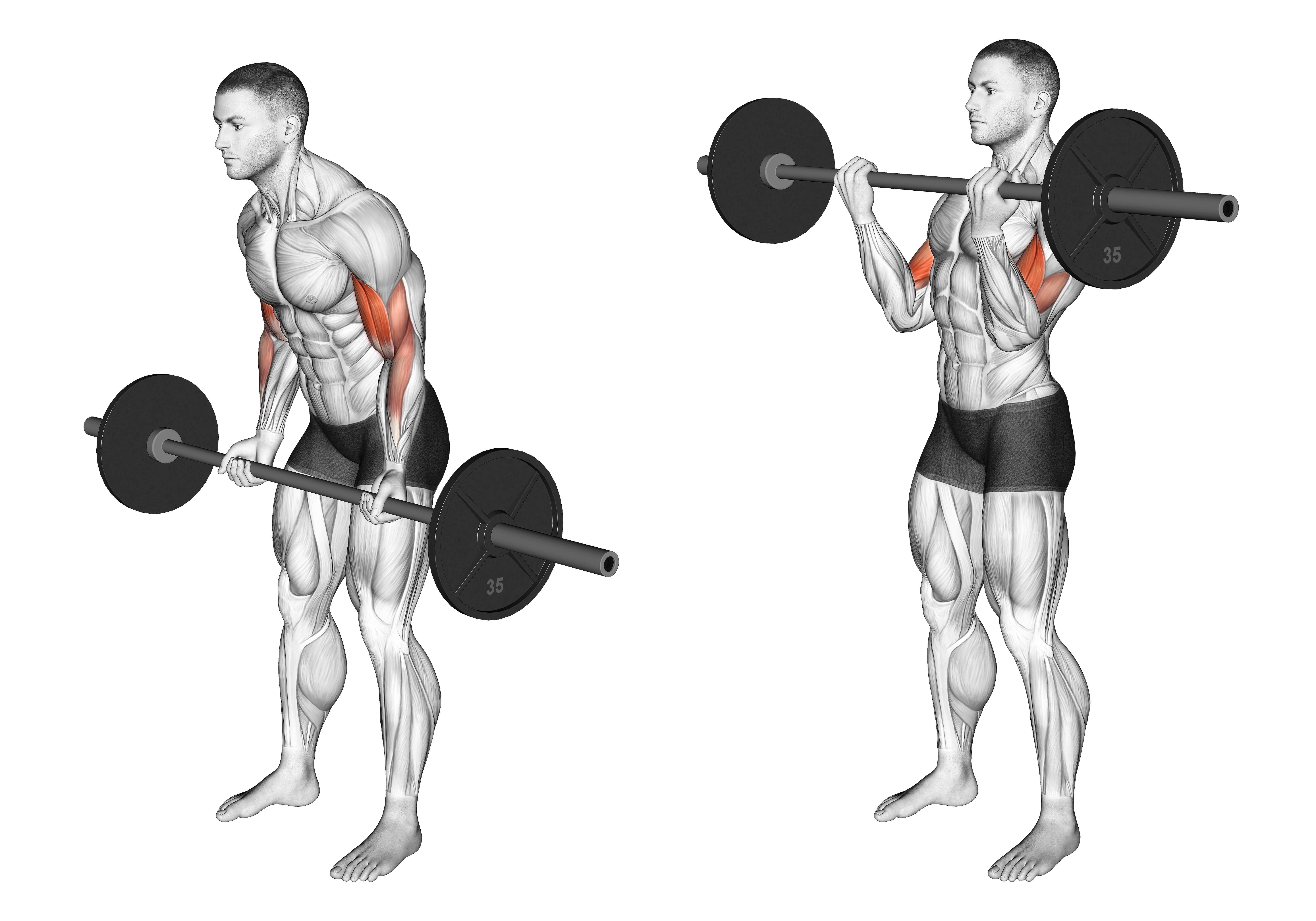Cheat Curl