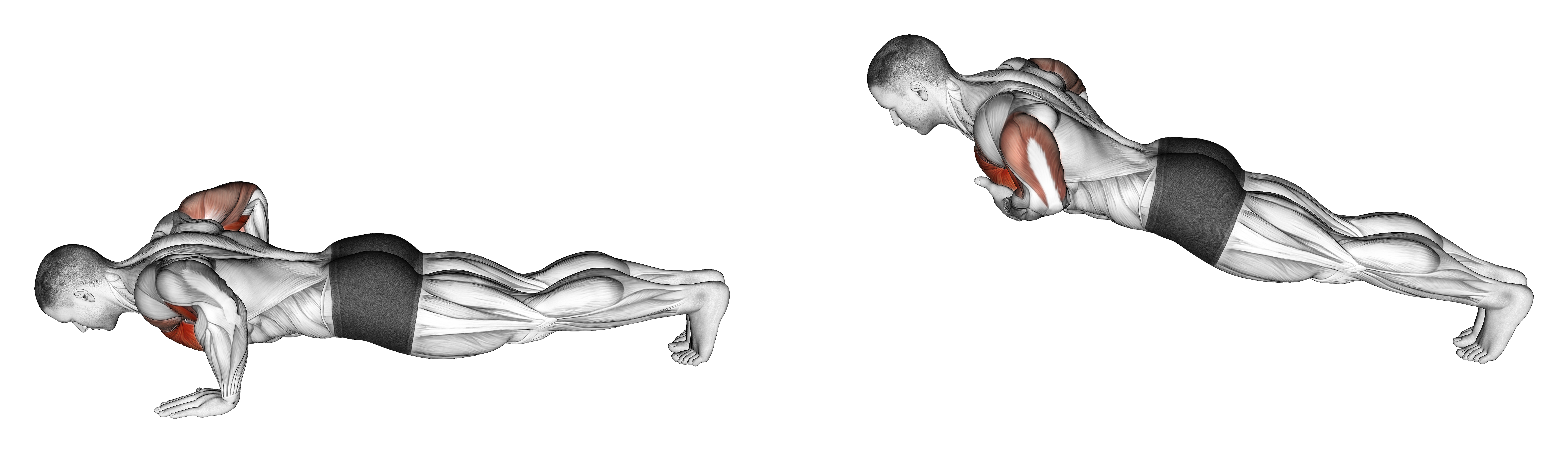 Chest Tap Push Up