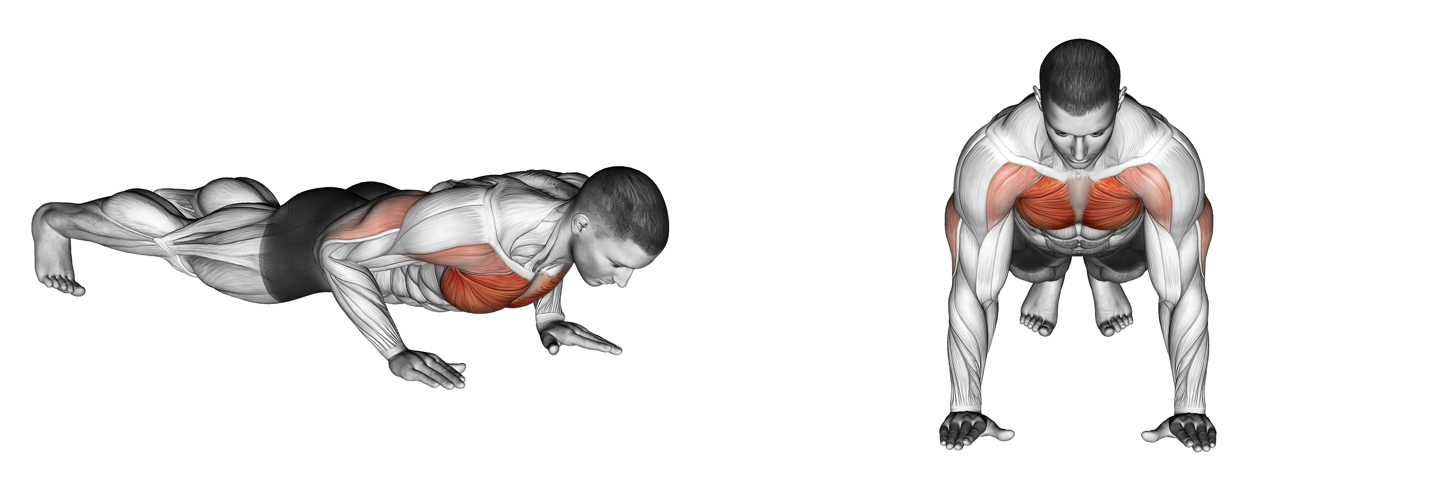 Clock Push Up